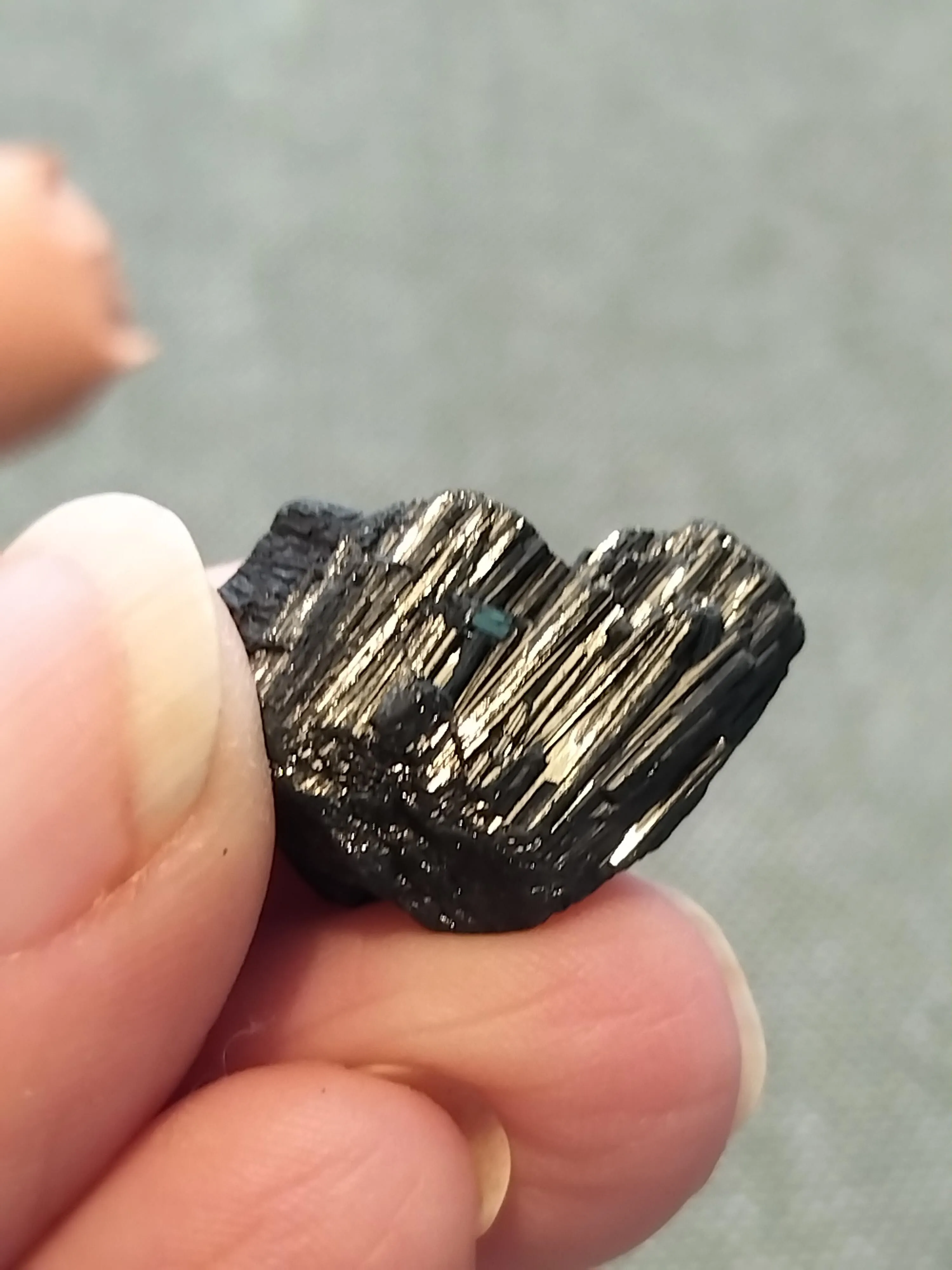 ed733d8e-c72f-47e1-9230-e8e5ca6ef500