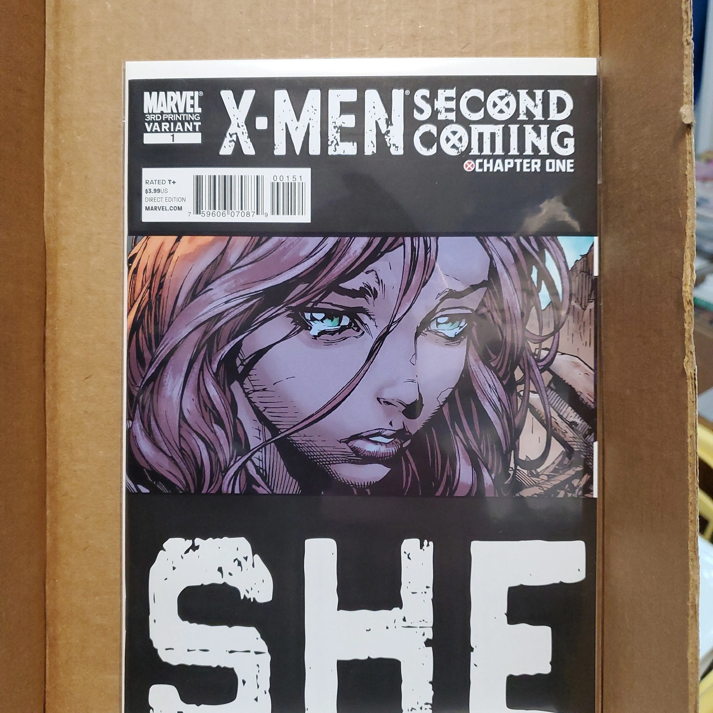 Product image for X-Men Second Coming 