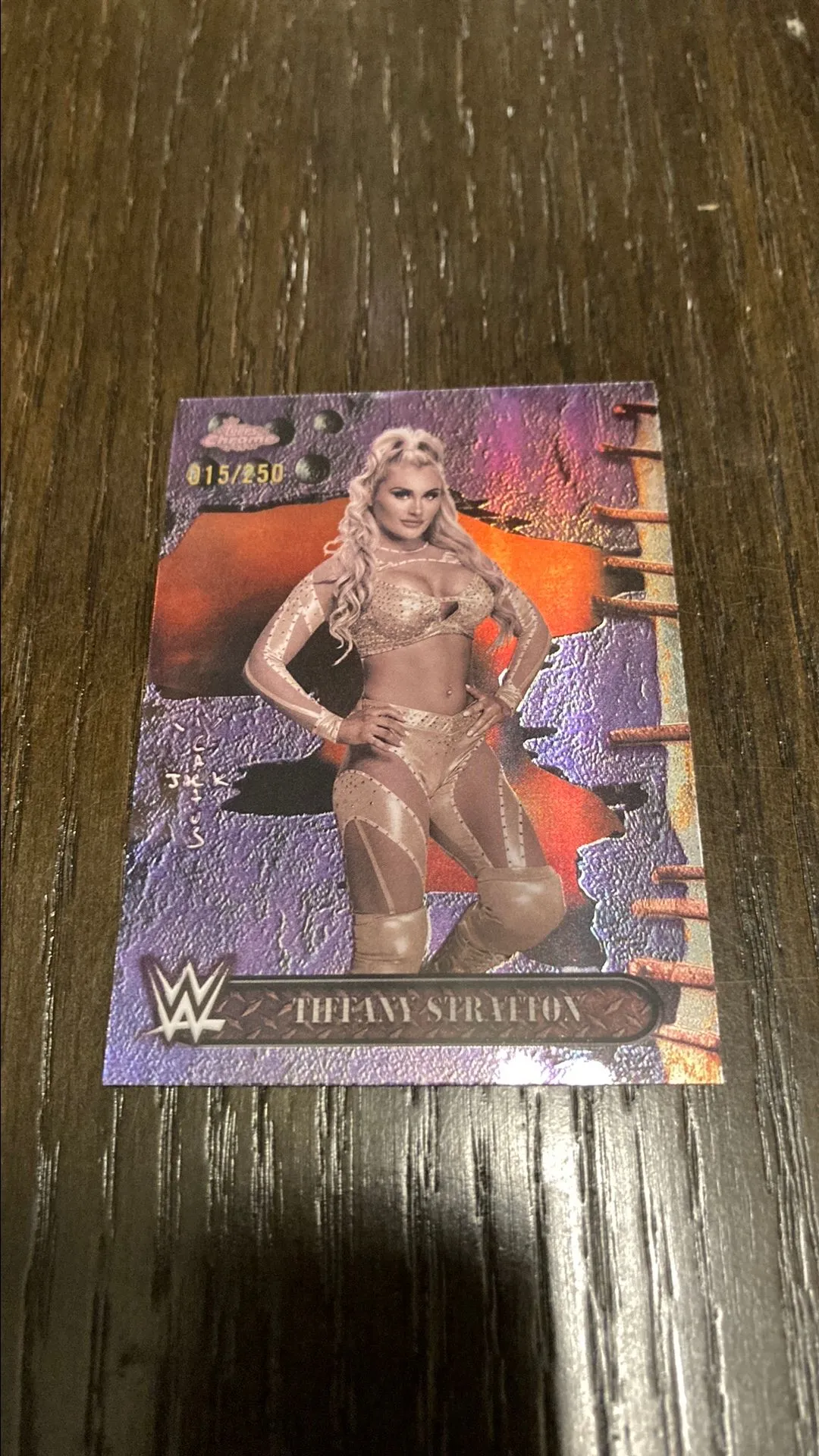 ef7c8bfb-b948-4f88-8077-9e7948510161