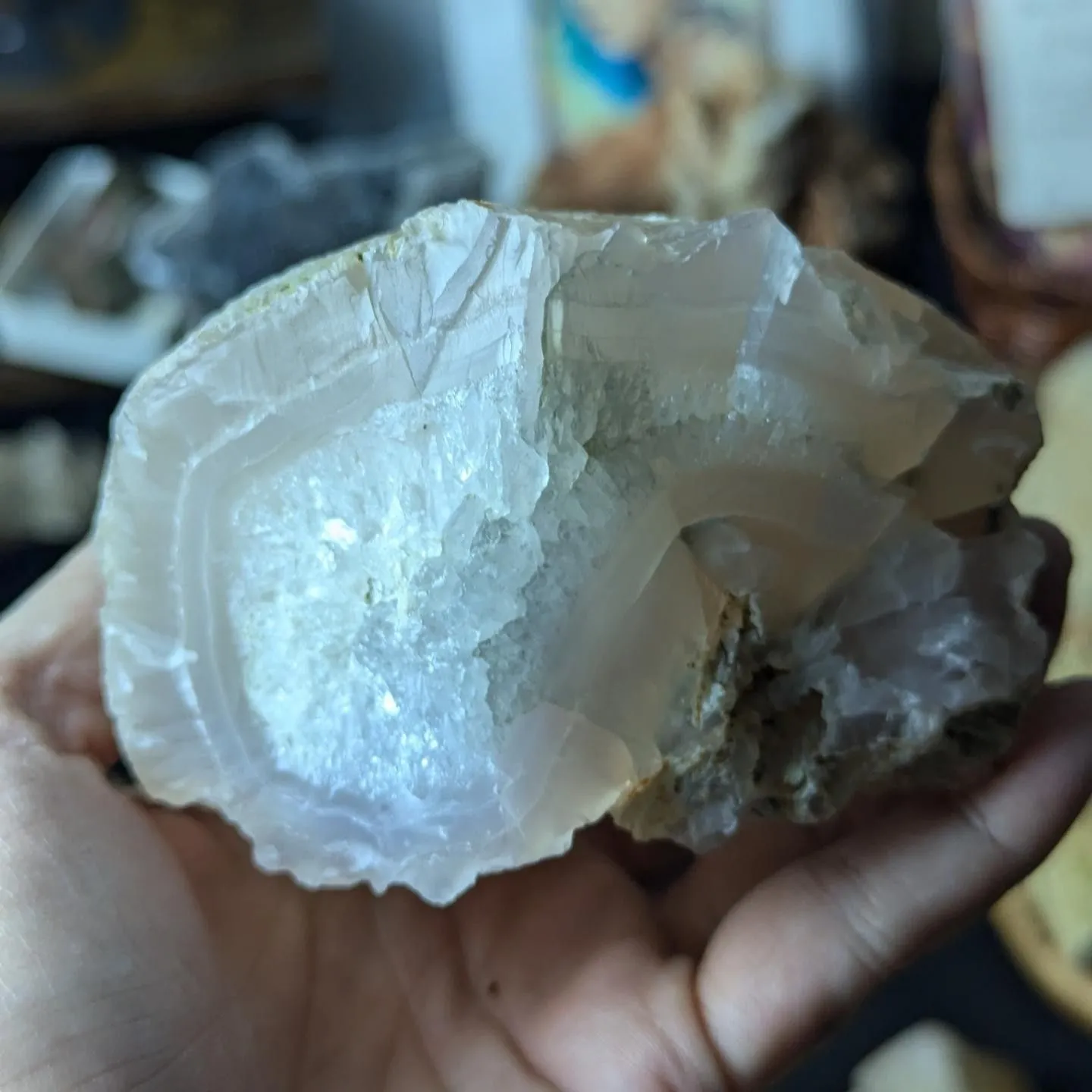 Product image for Pink Petrified wood 