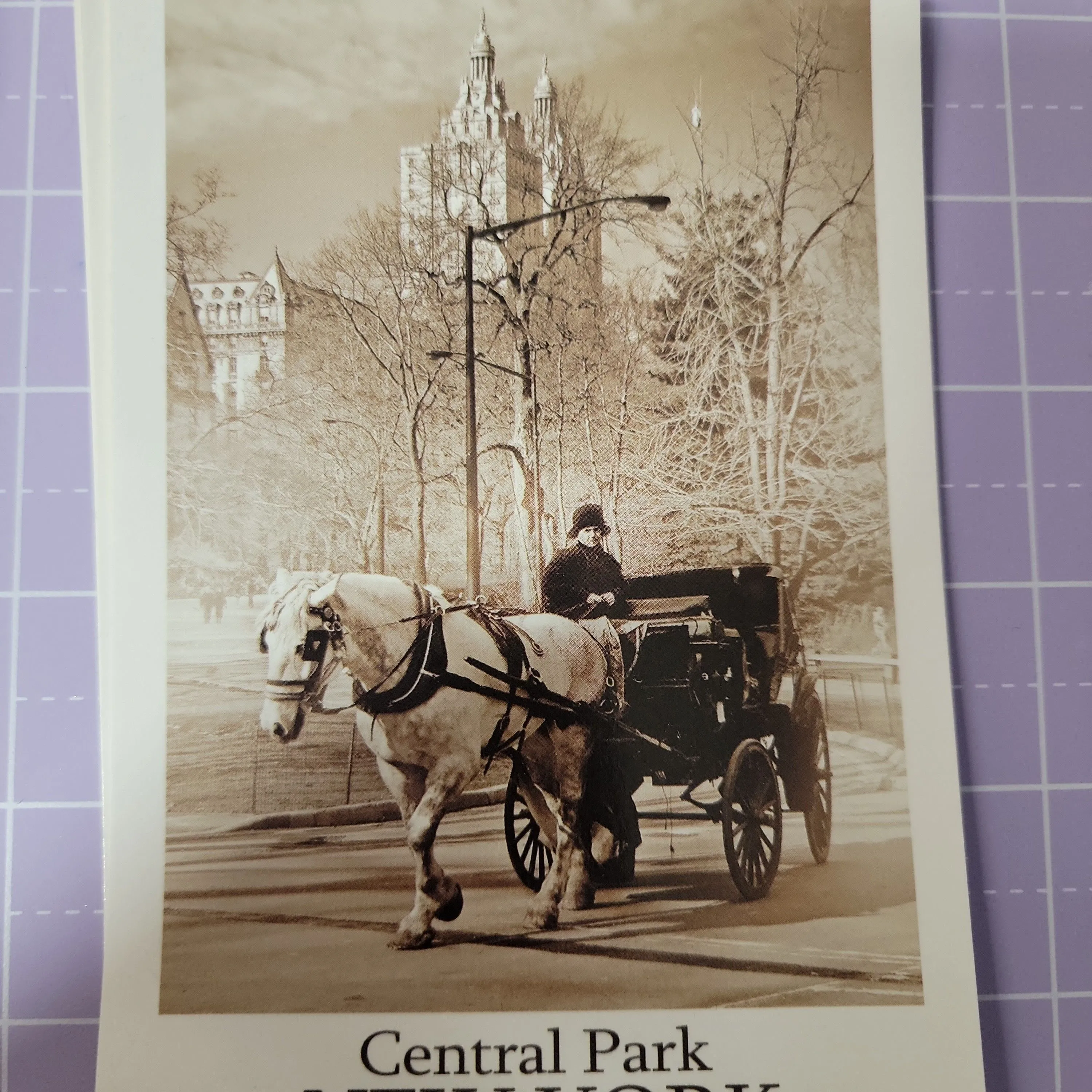Product image for central park