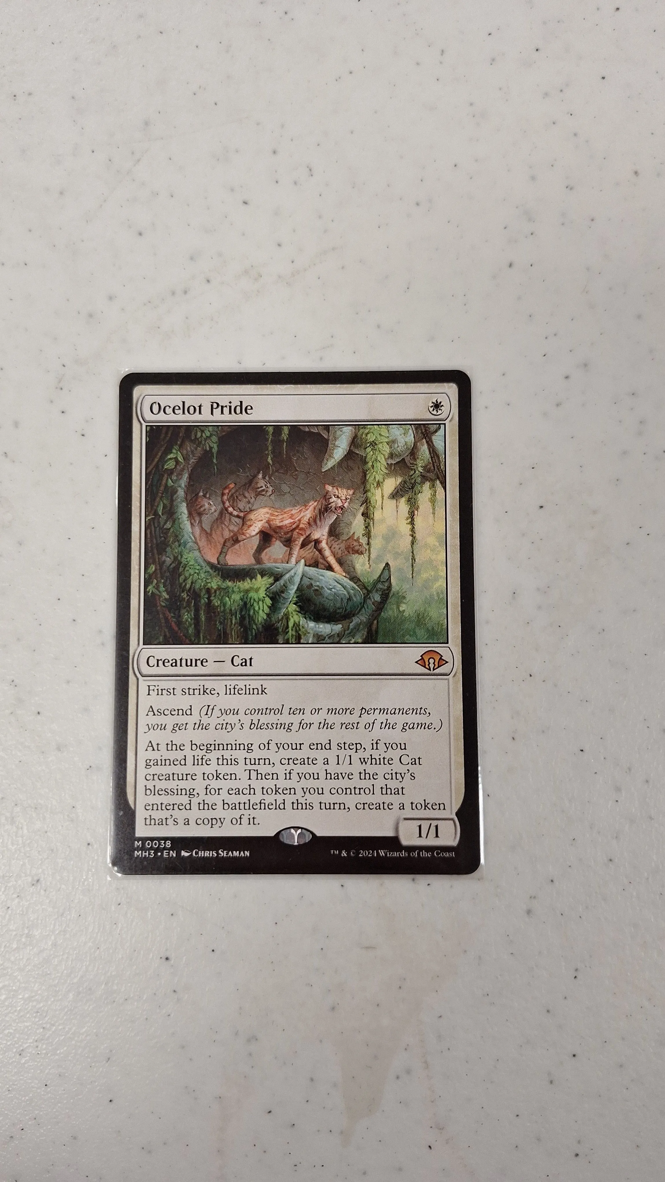 Product image for Ocelot Pride