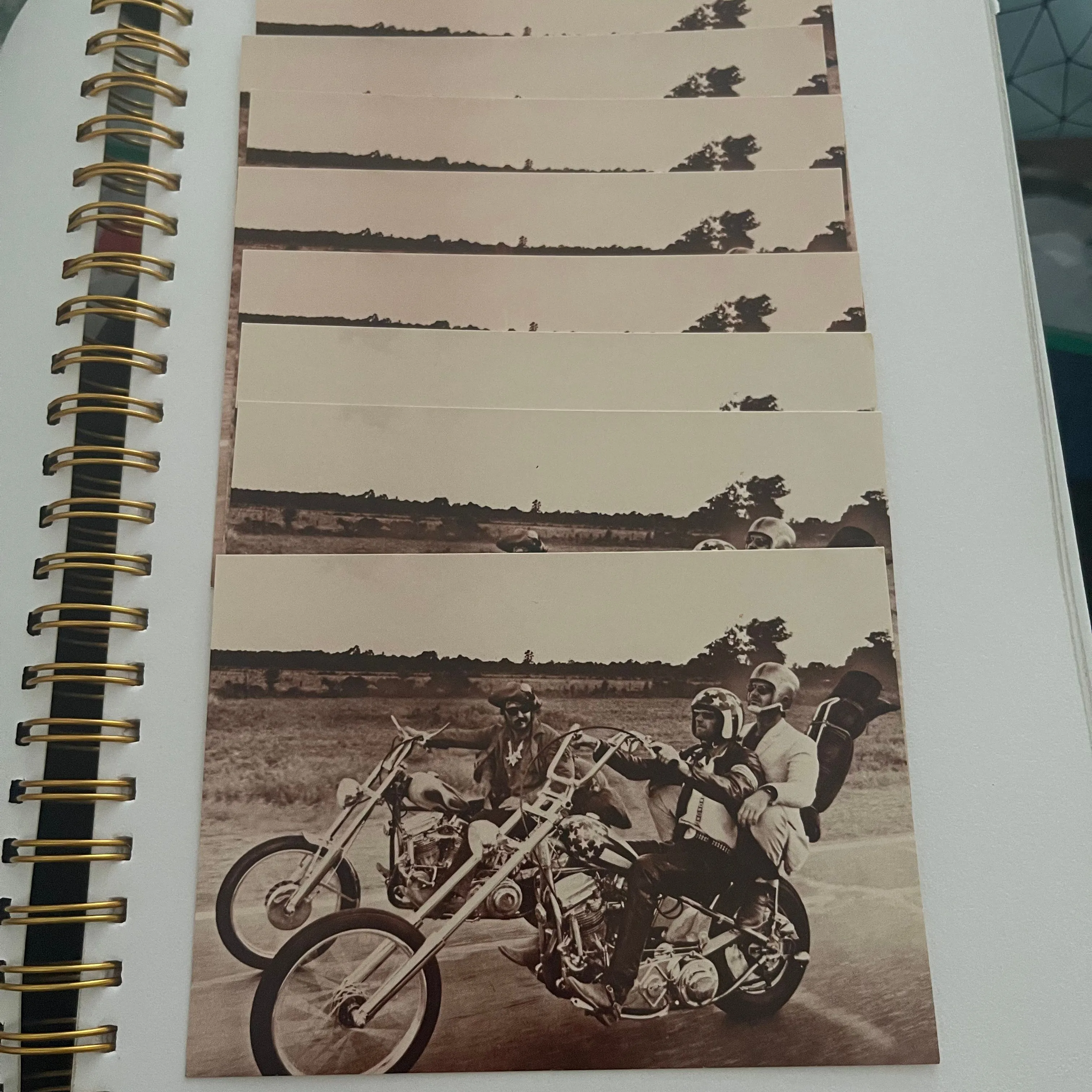 Product image for 8 vintage EasyRider Postcards