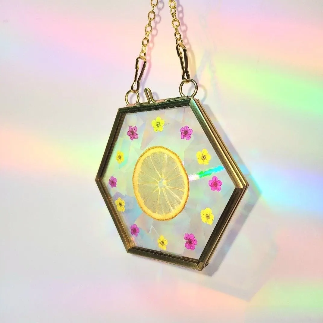 Product image for Sun Catcher Made with Real Pressed Flowers! Prismatic Rainbow Blaster!  Rainbow Floral Arrangement