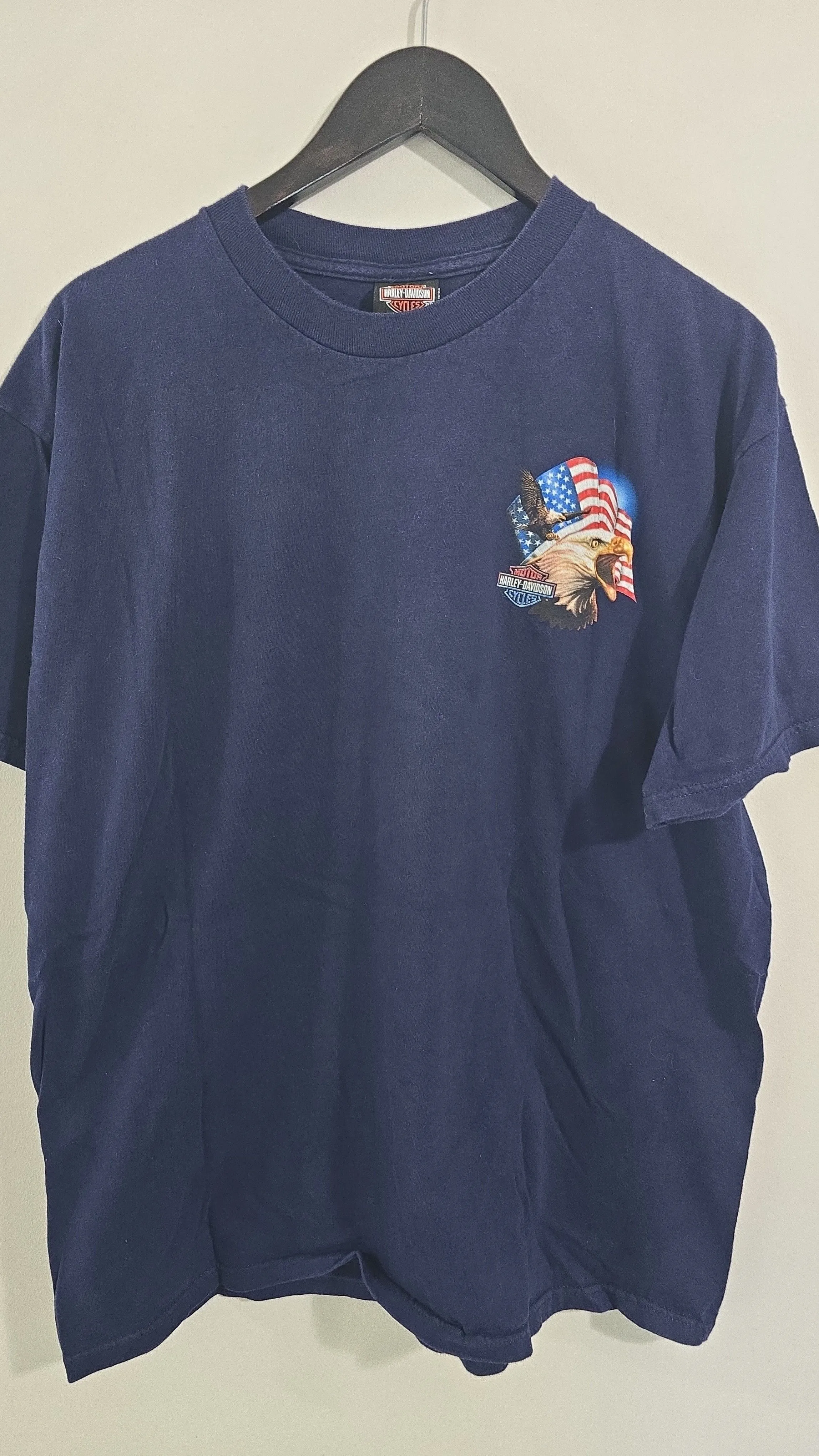 Product image for Y2K Eagle American Flag Farmington MI