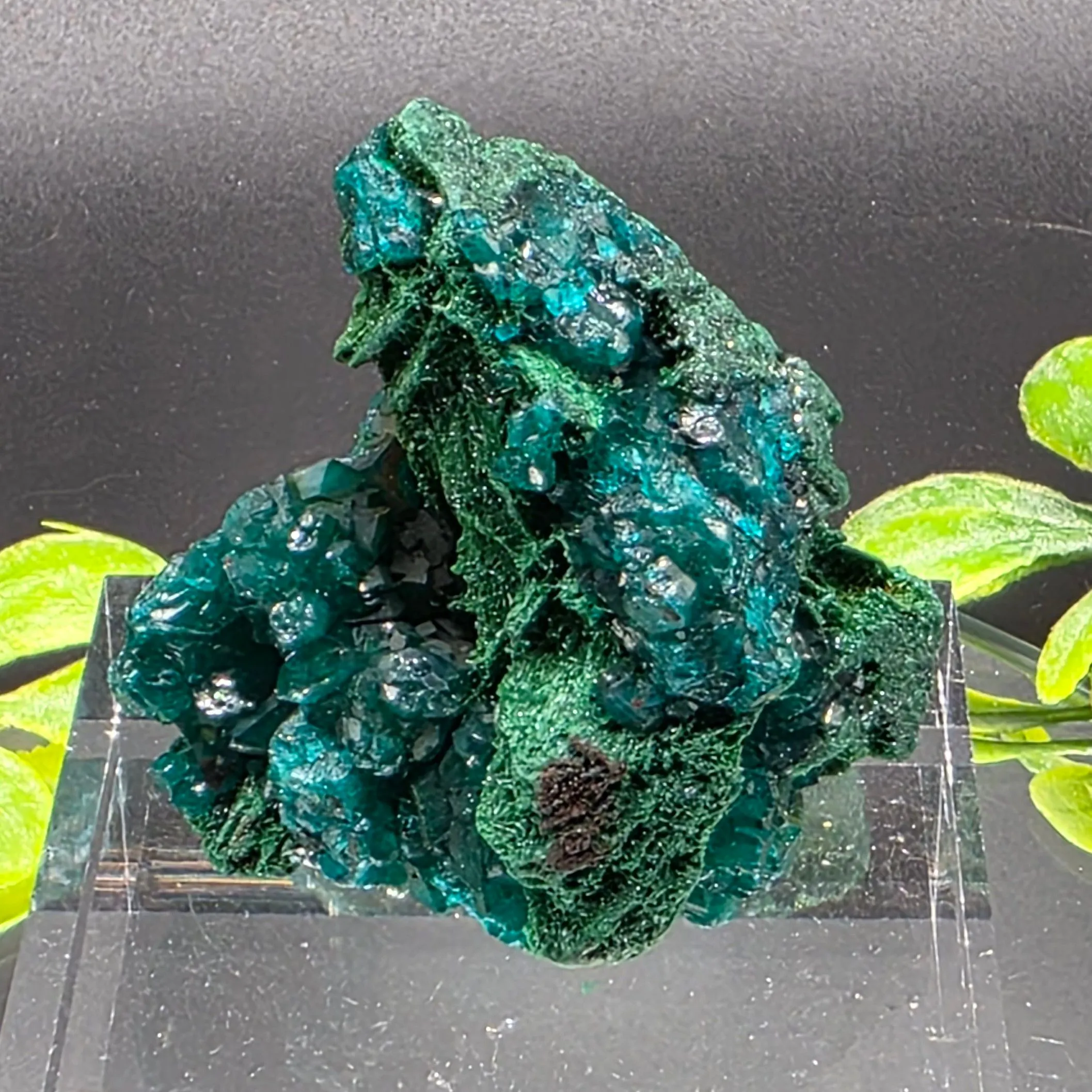 Product image for #500 Dioptase Congo