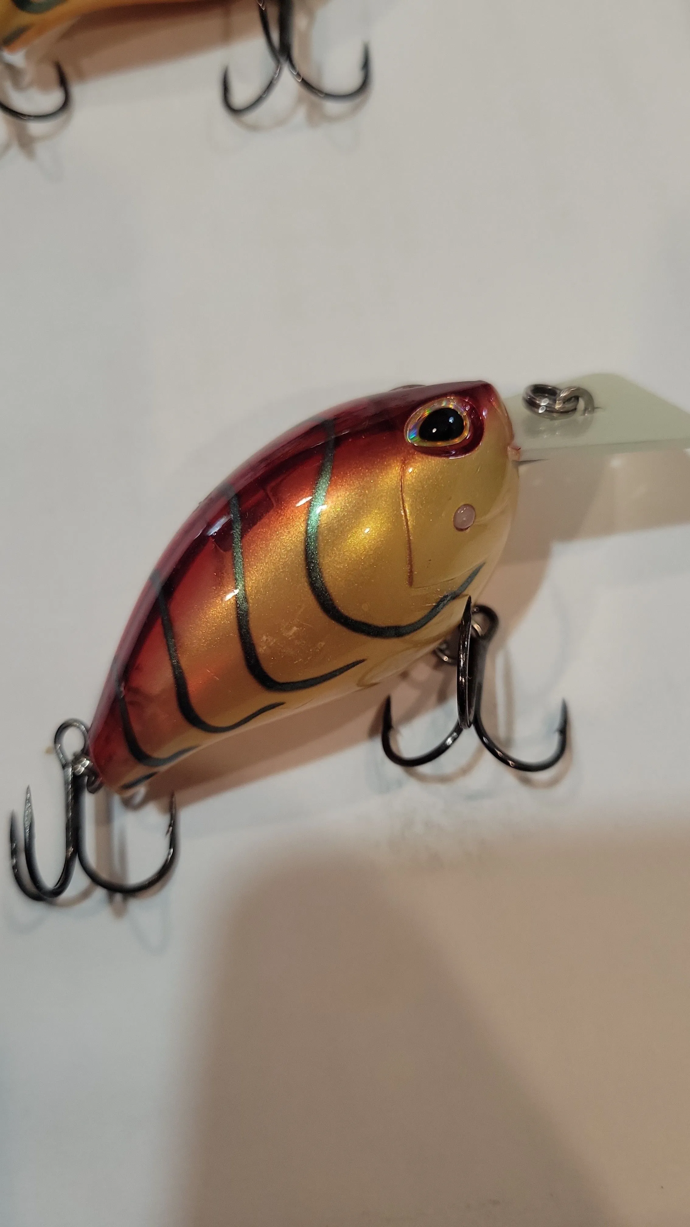 Product image for Storm Arashia Square 3 Squarebill craw crankbait discontinued 