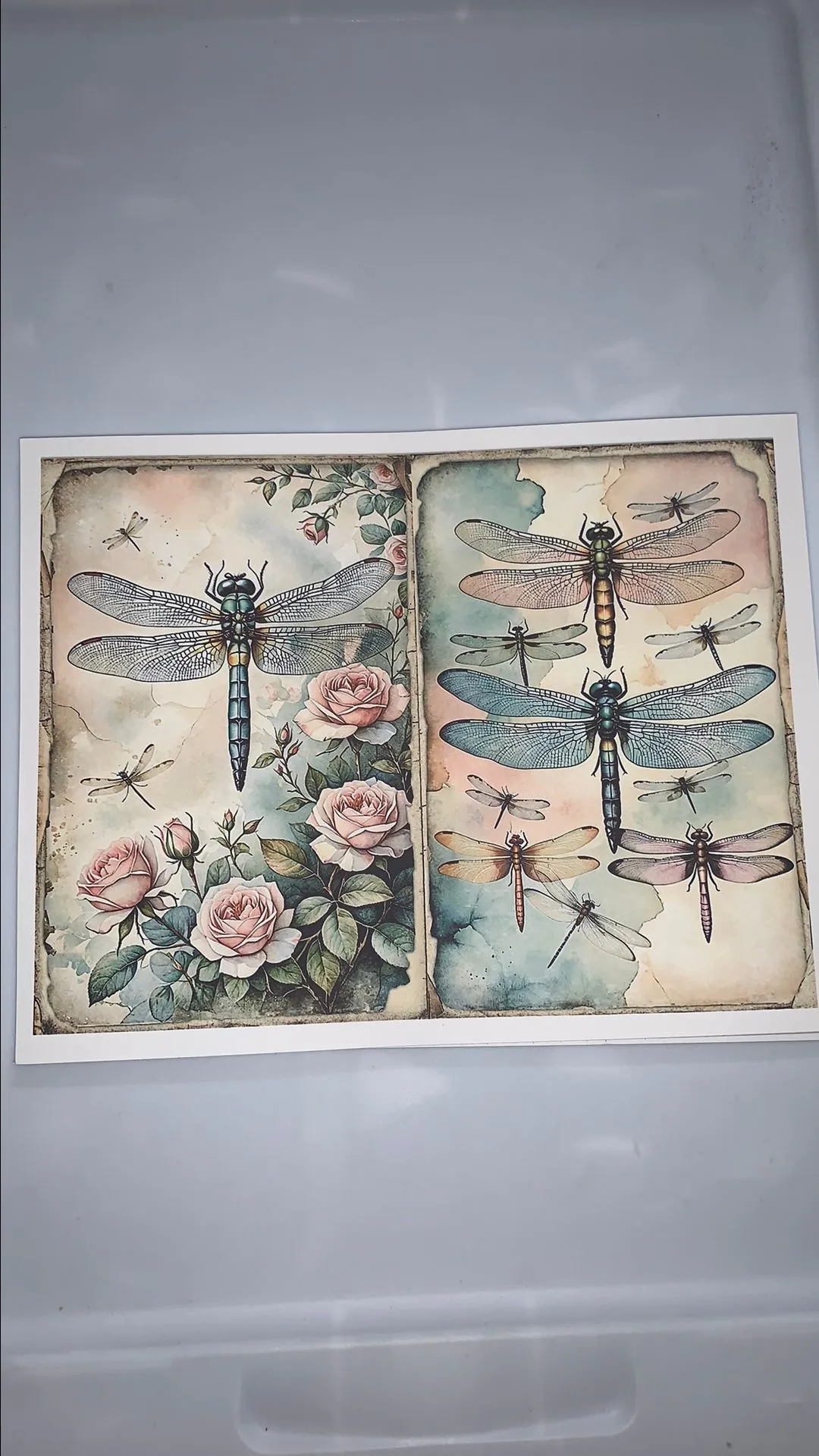 Product image for 00. Dragon Flies Printable #1