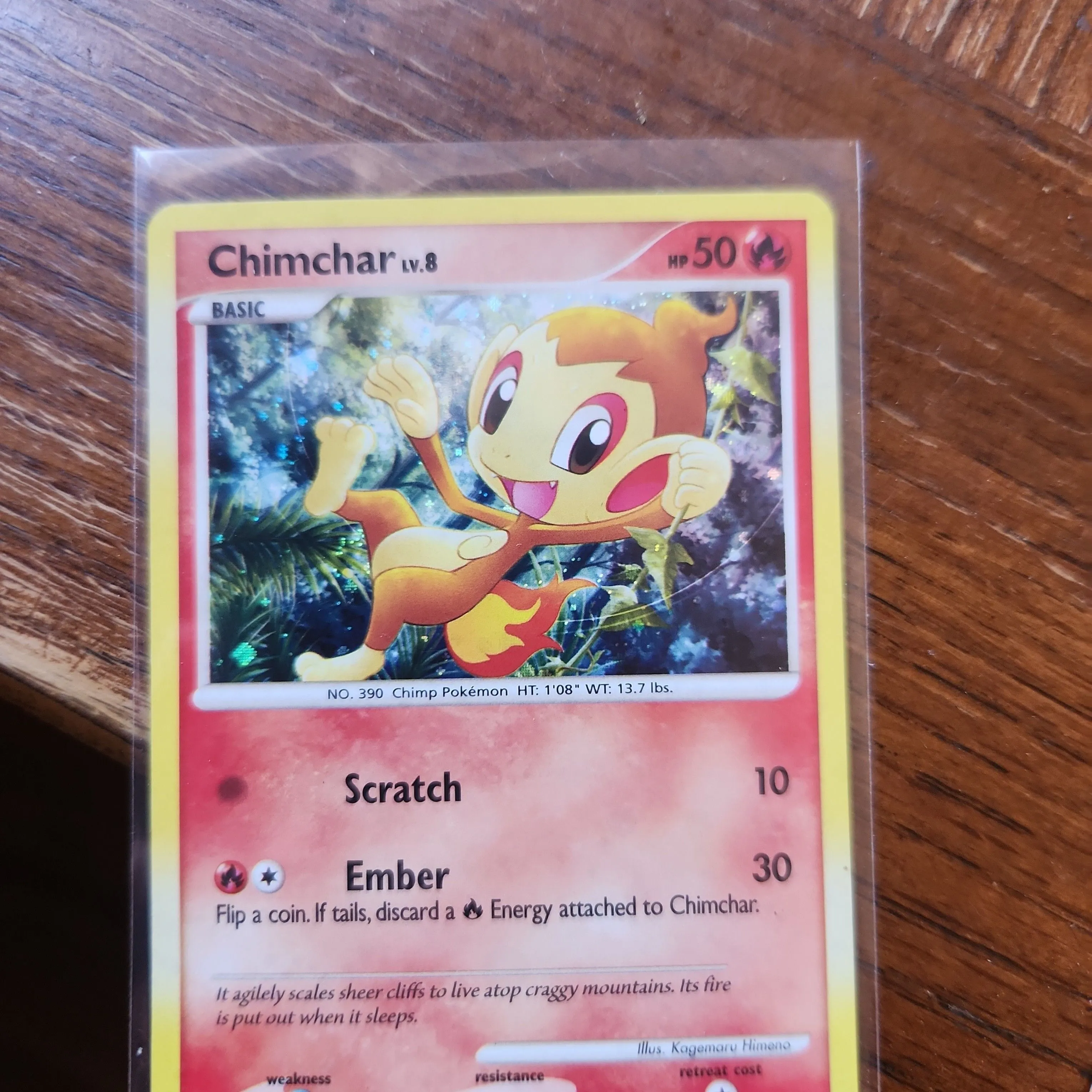 Product image for chimchar lv.8