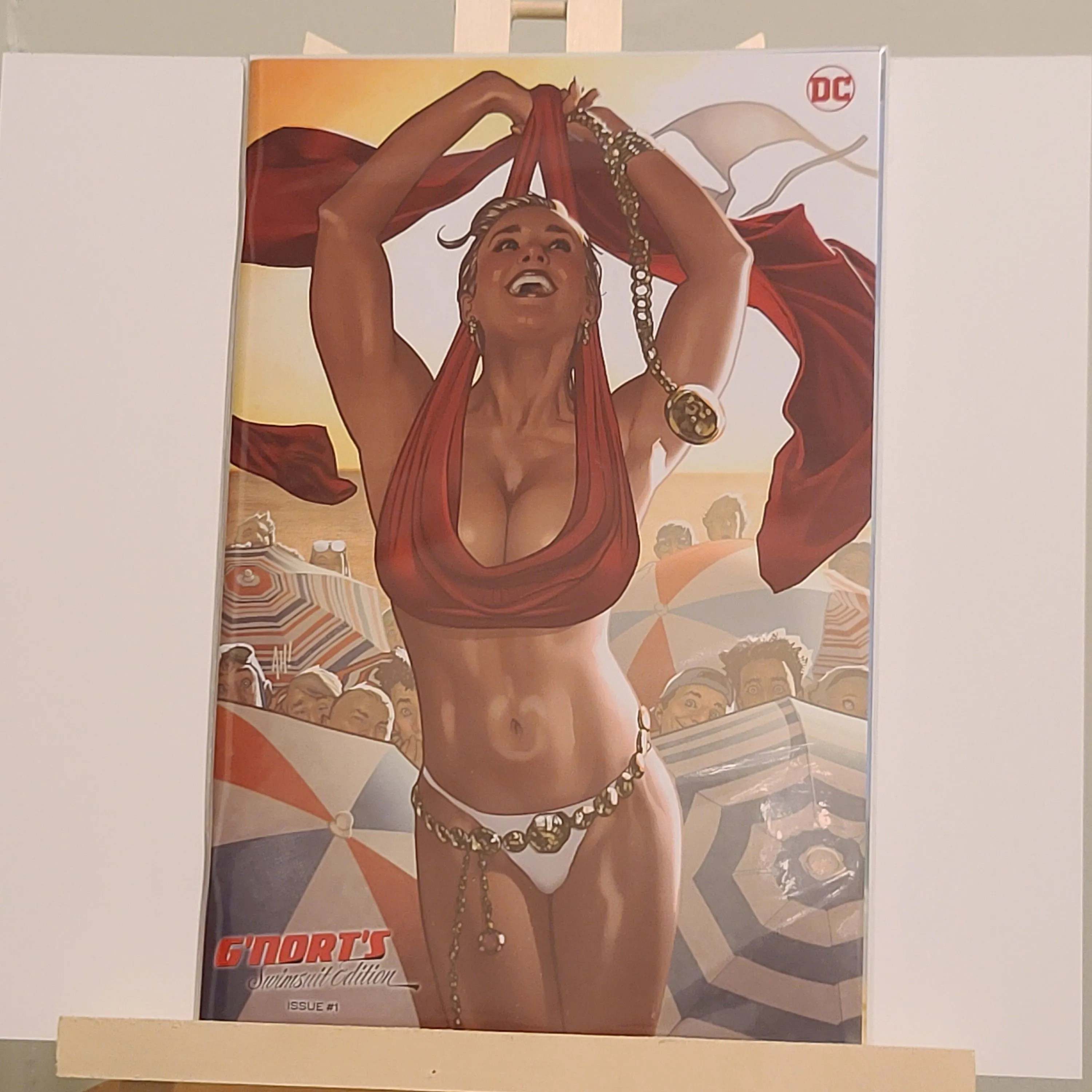 Product image for G'nort's Illustrated Swimsuit Edition #1