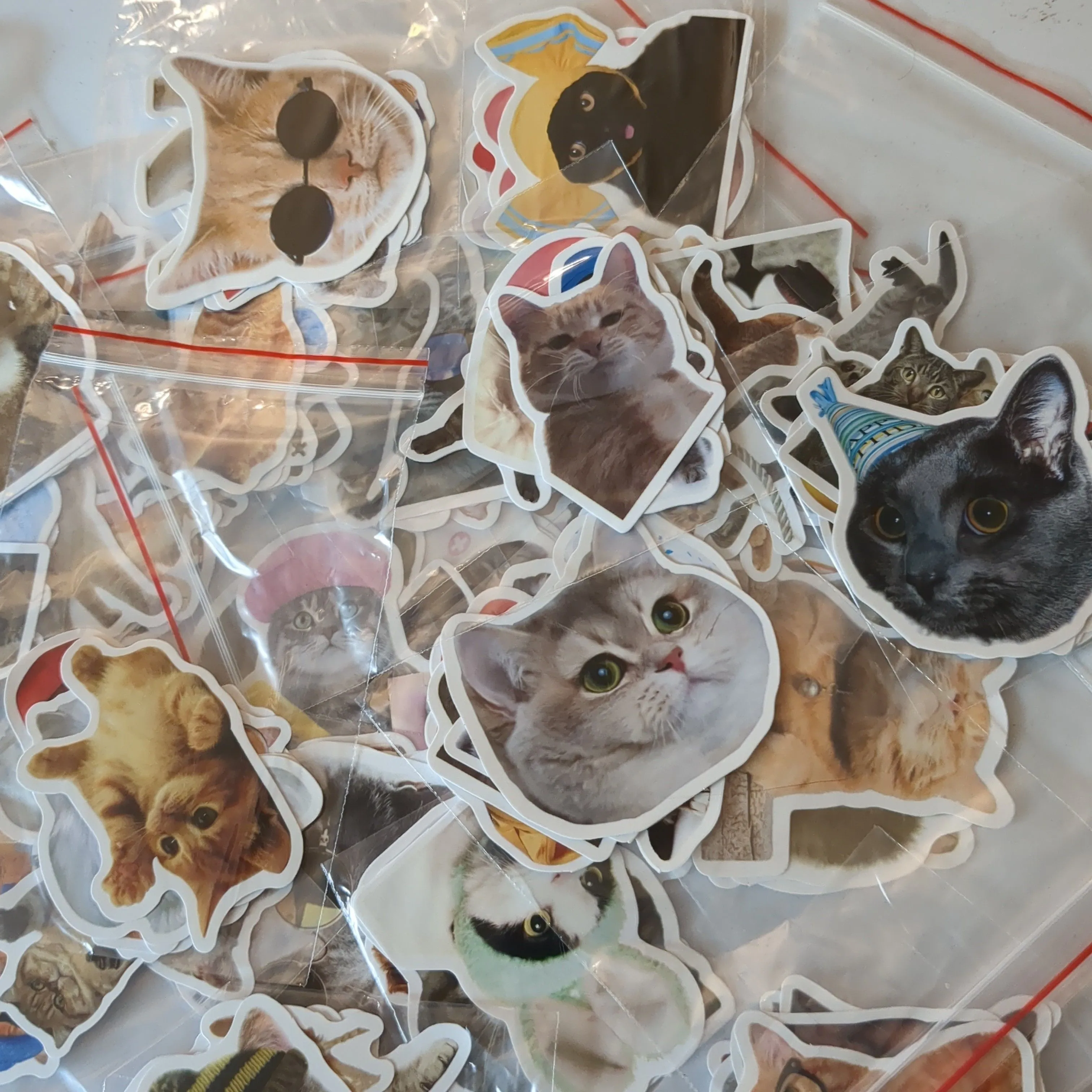Product image for CHEAP ASS SHIPPING!! Small handful of FUNNY CAT stickers