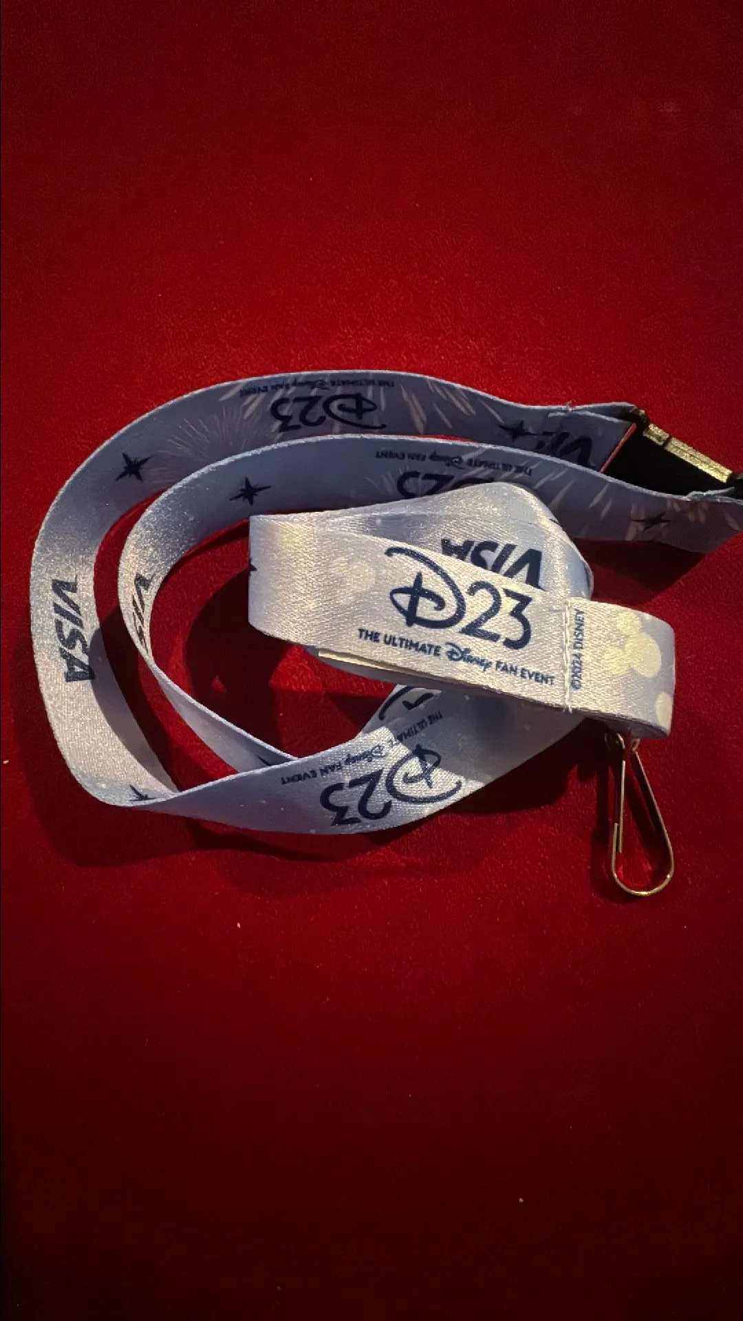 Product image for D23 Lanyard 2024