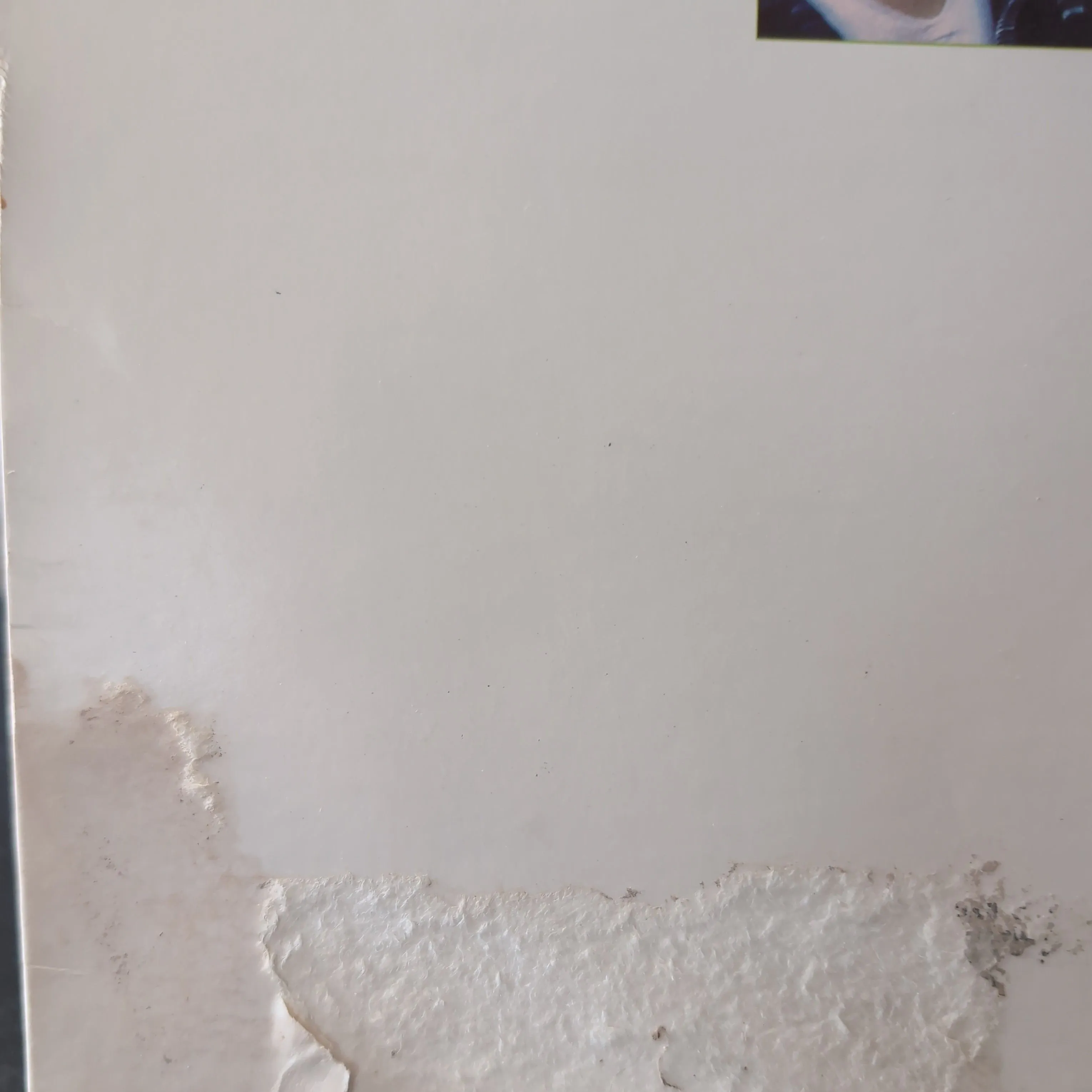 Listing Image Blurred Background