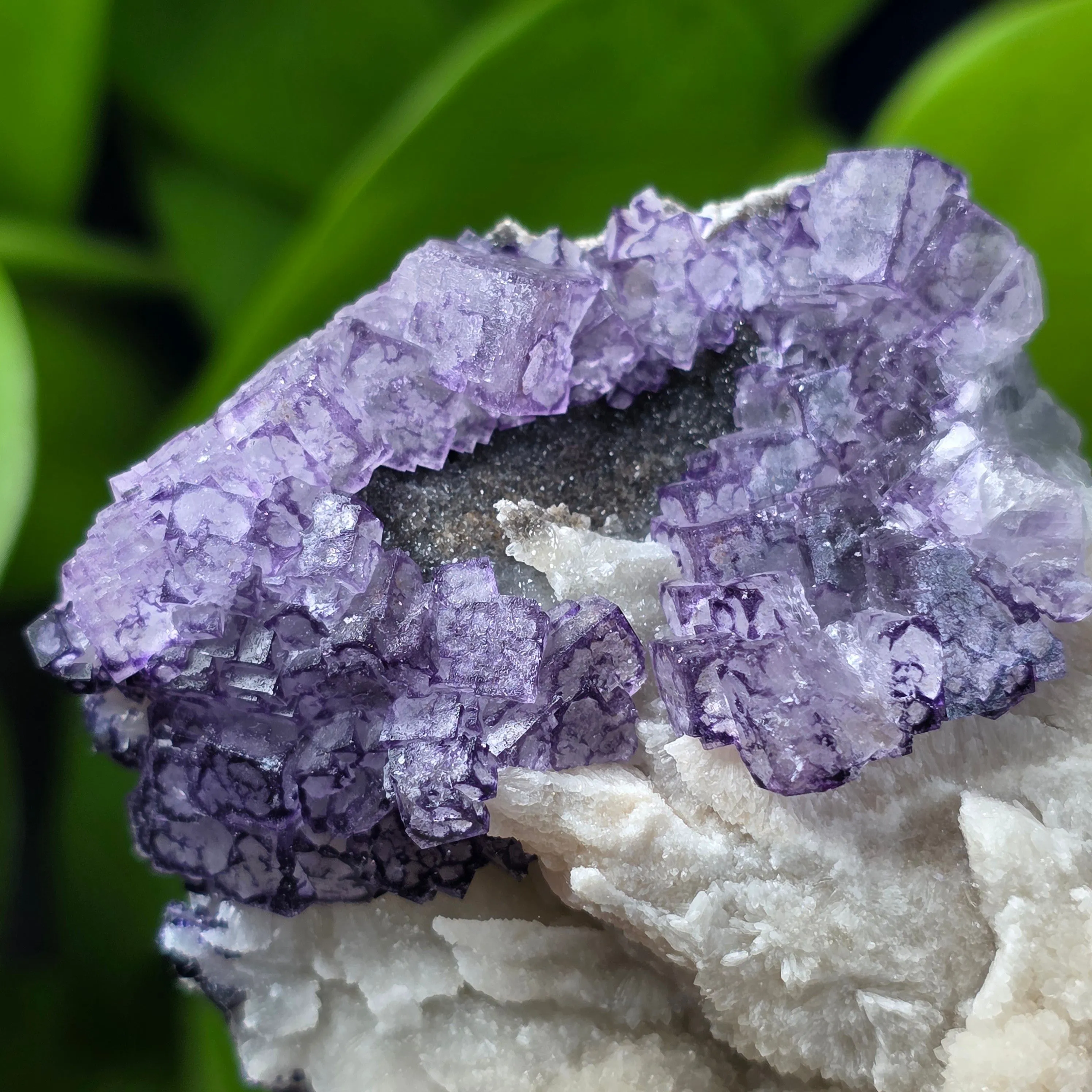 Product image for Fluorite