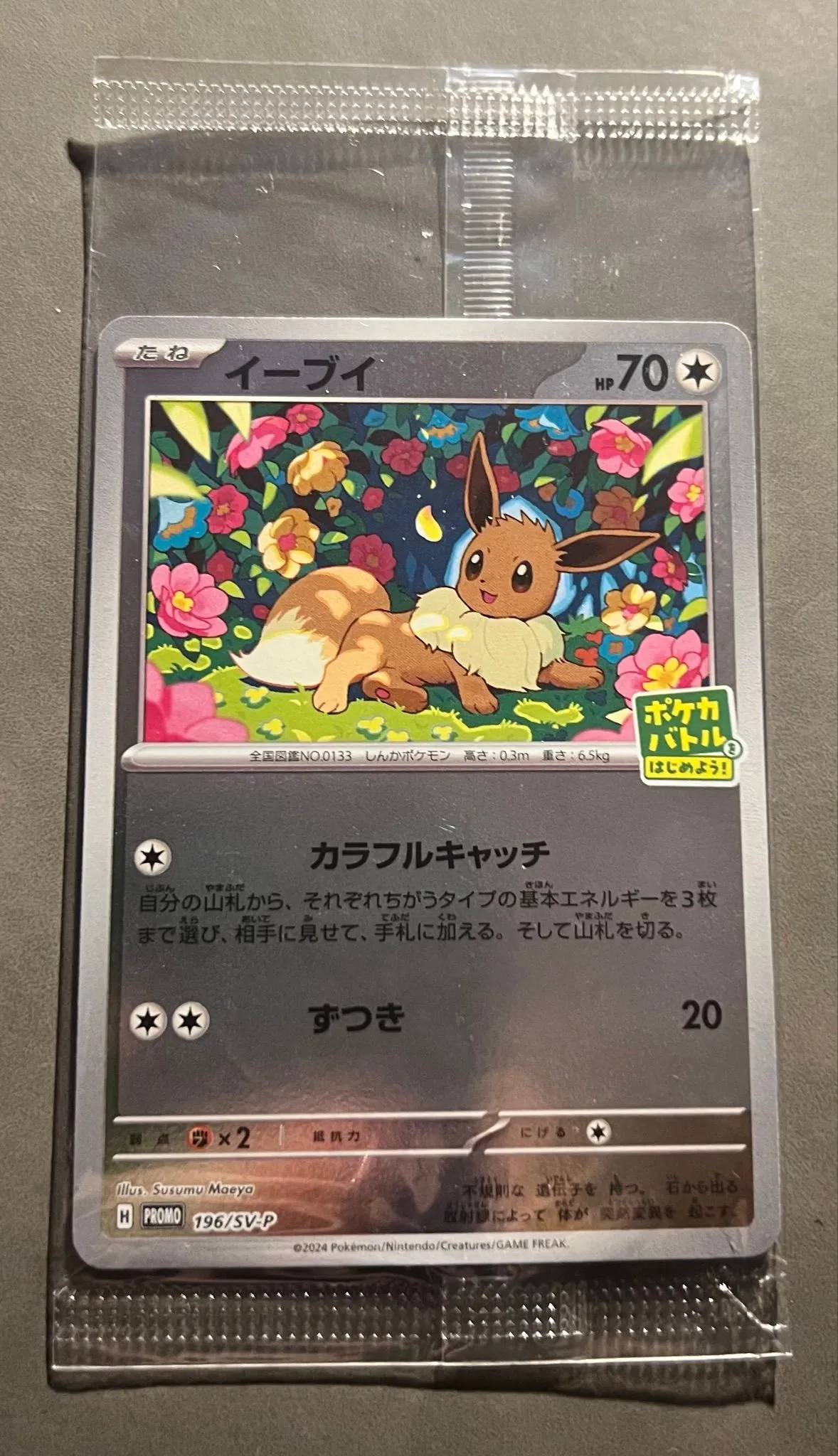 fcf7318b-ed9b-4cee-91b9-c69584532d78