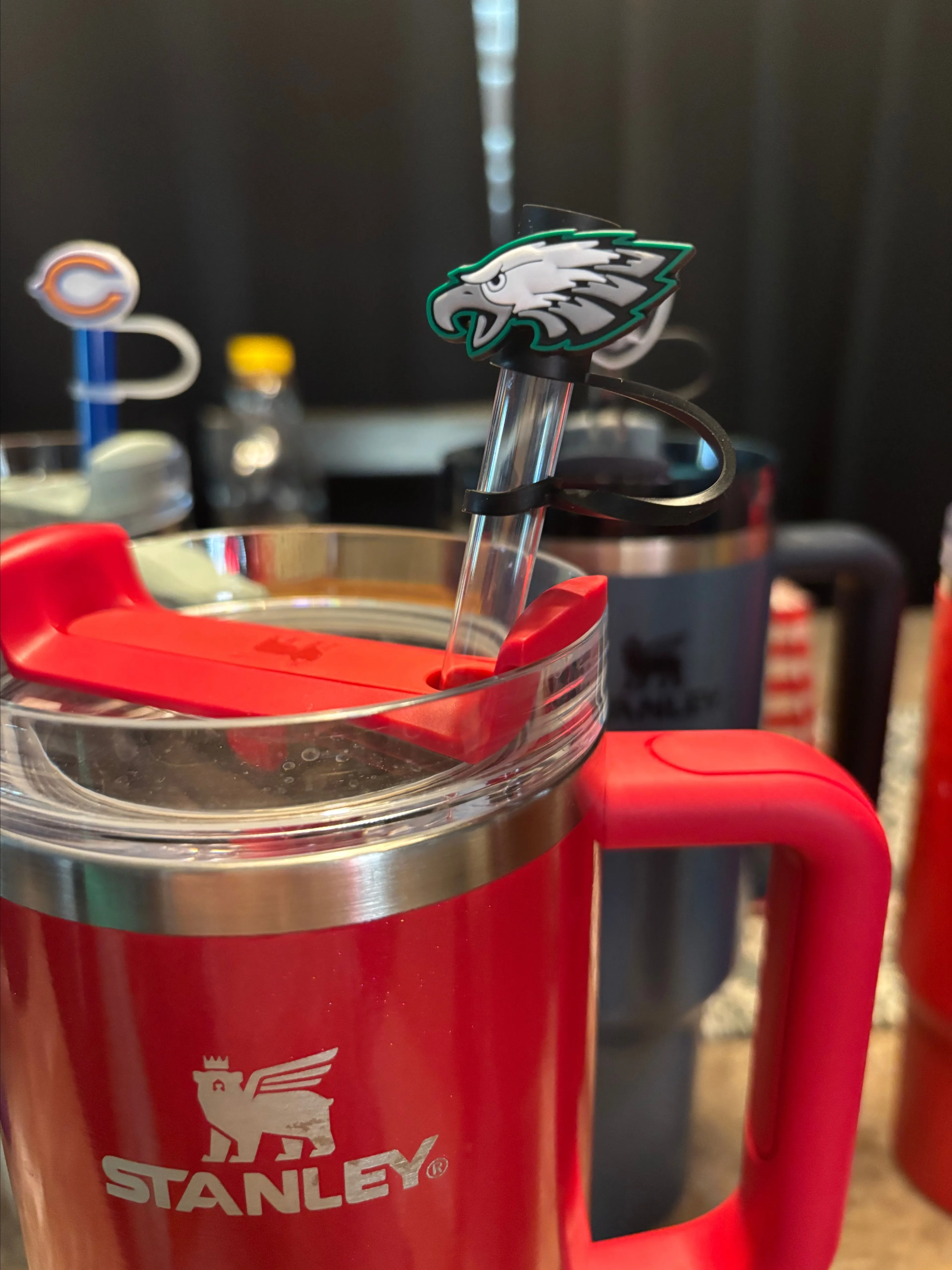 Product image for Philadelphia eagles straw topper