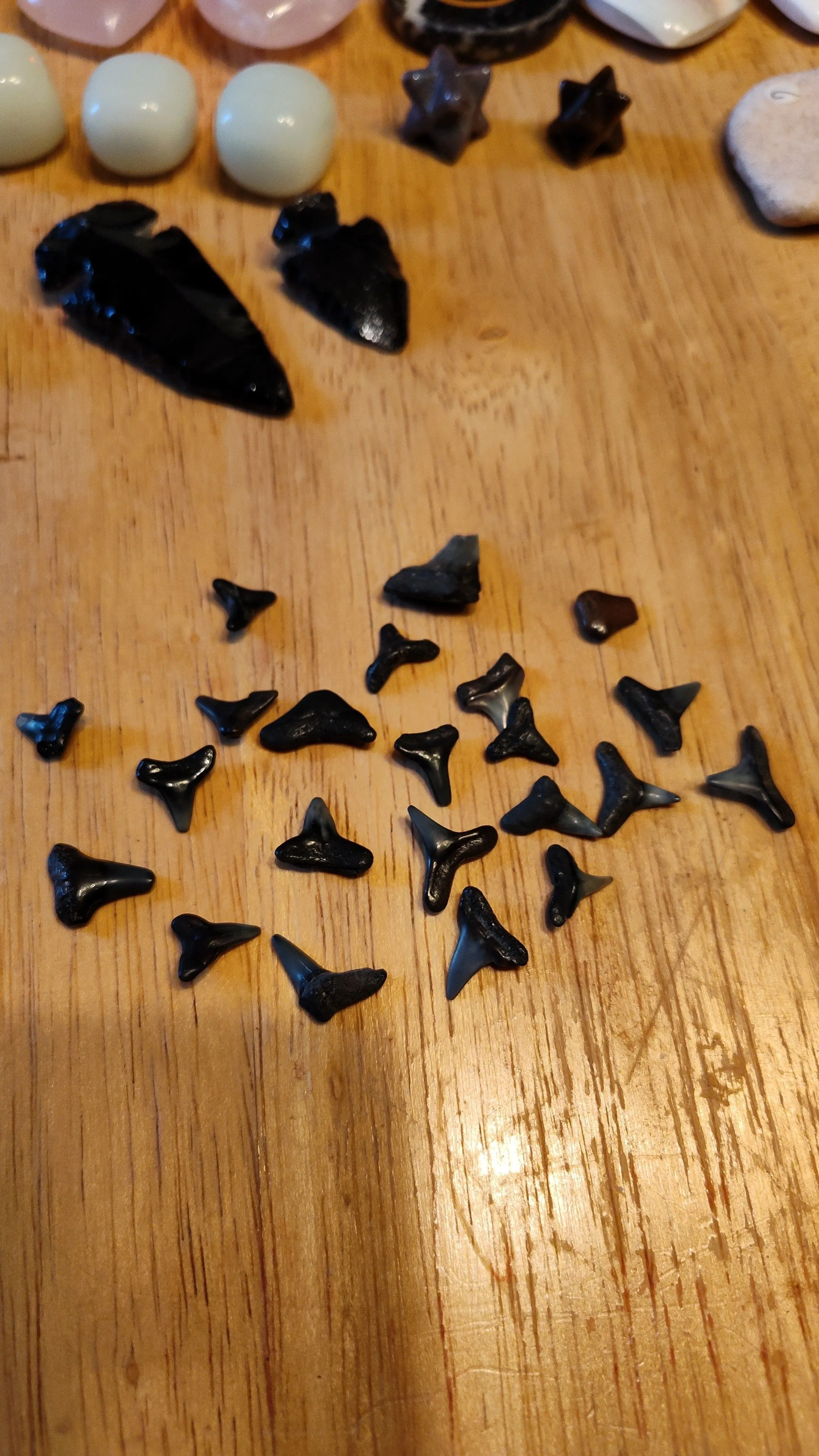 Product image for sharks teeth 