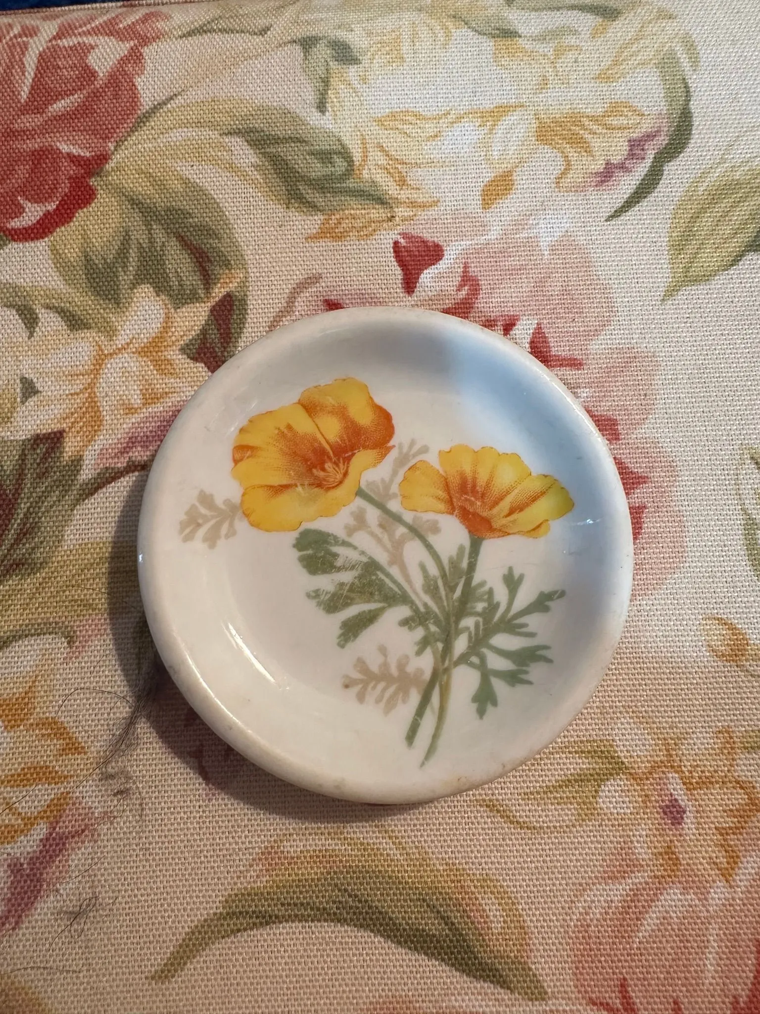 ff6c28df-0f18-4334-bf84-13f4f1920157