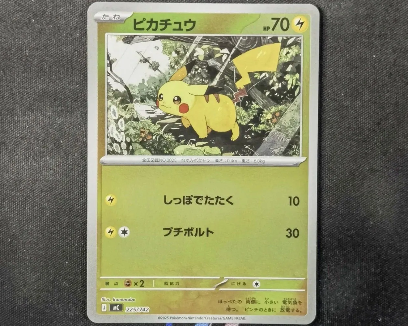ff9662c5-fb0c-4dff-bb10-2d2162038d7c