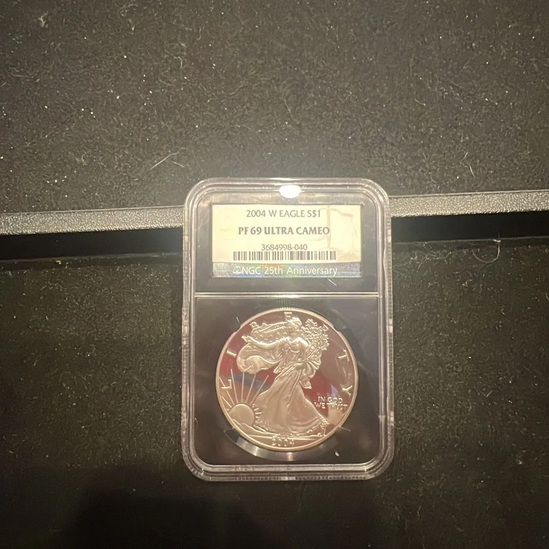 Product image for 2004 W Pf69 NGC American Silver Eagle Proof Ultra Cameo 25th Anniversary Black Core