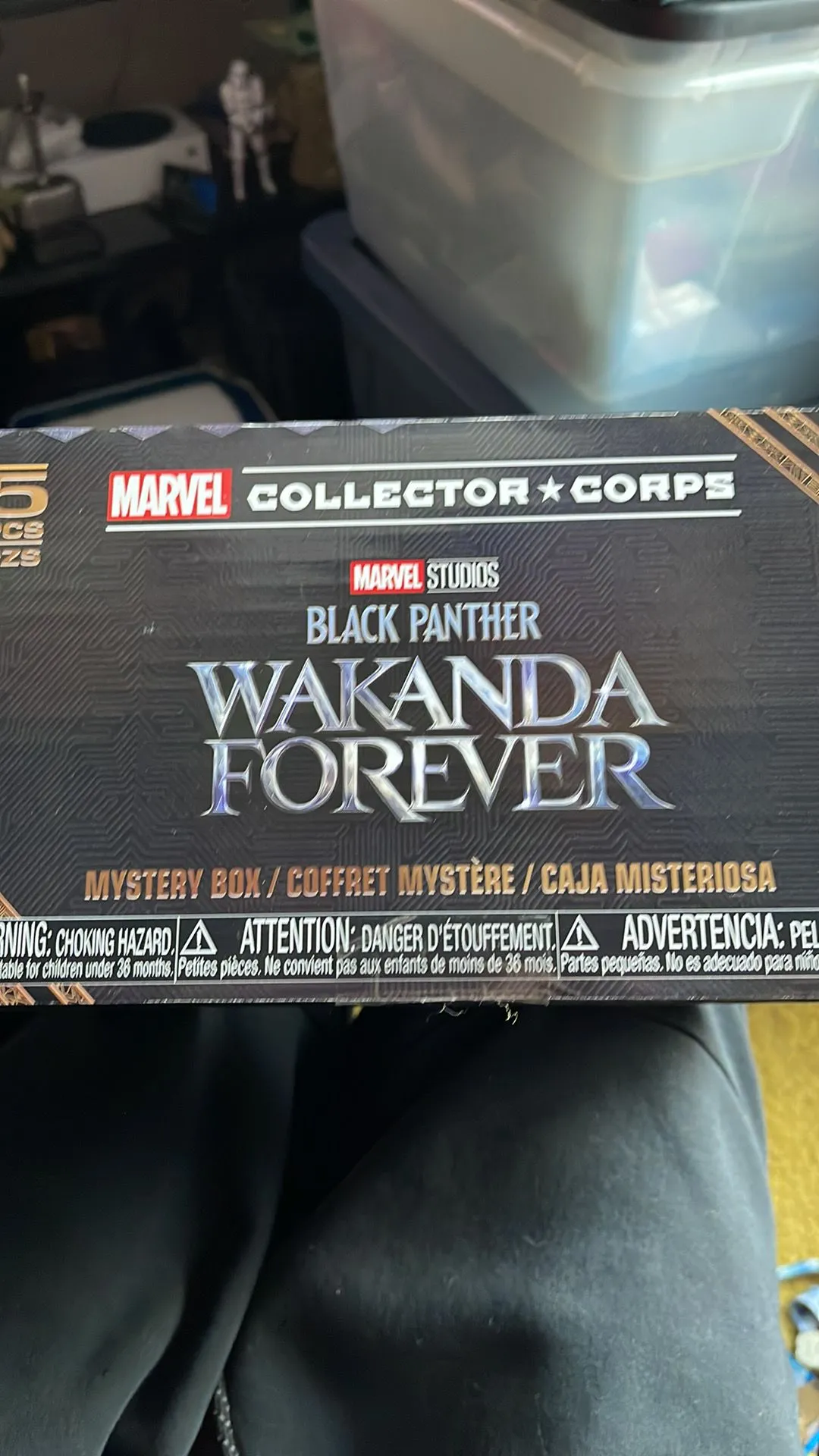 Product image for COLLECTOR CORPS BOX - Black Panther Wakanda Forever