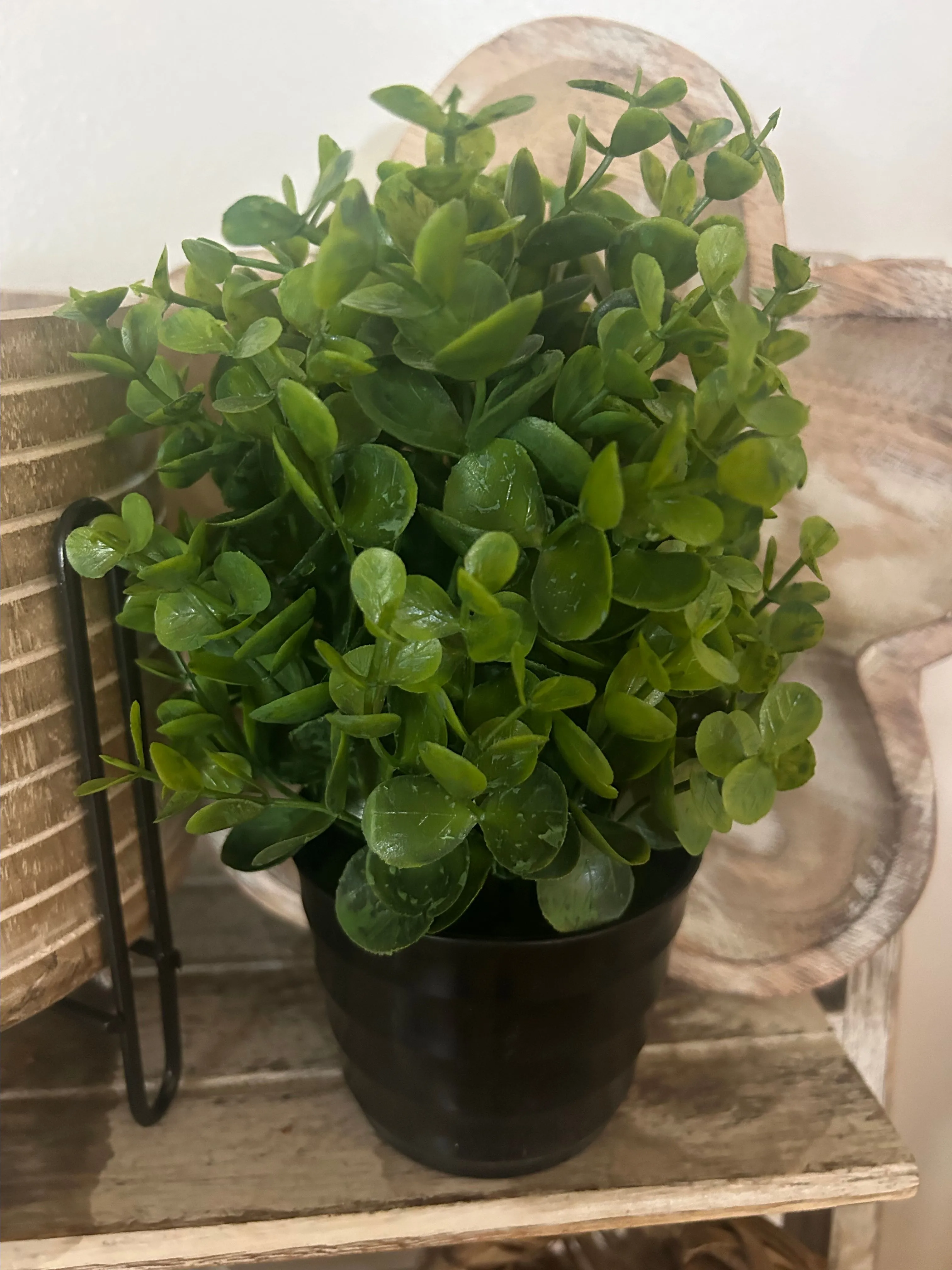 Product image for Faux Boxwood Floral pot