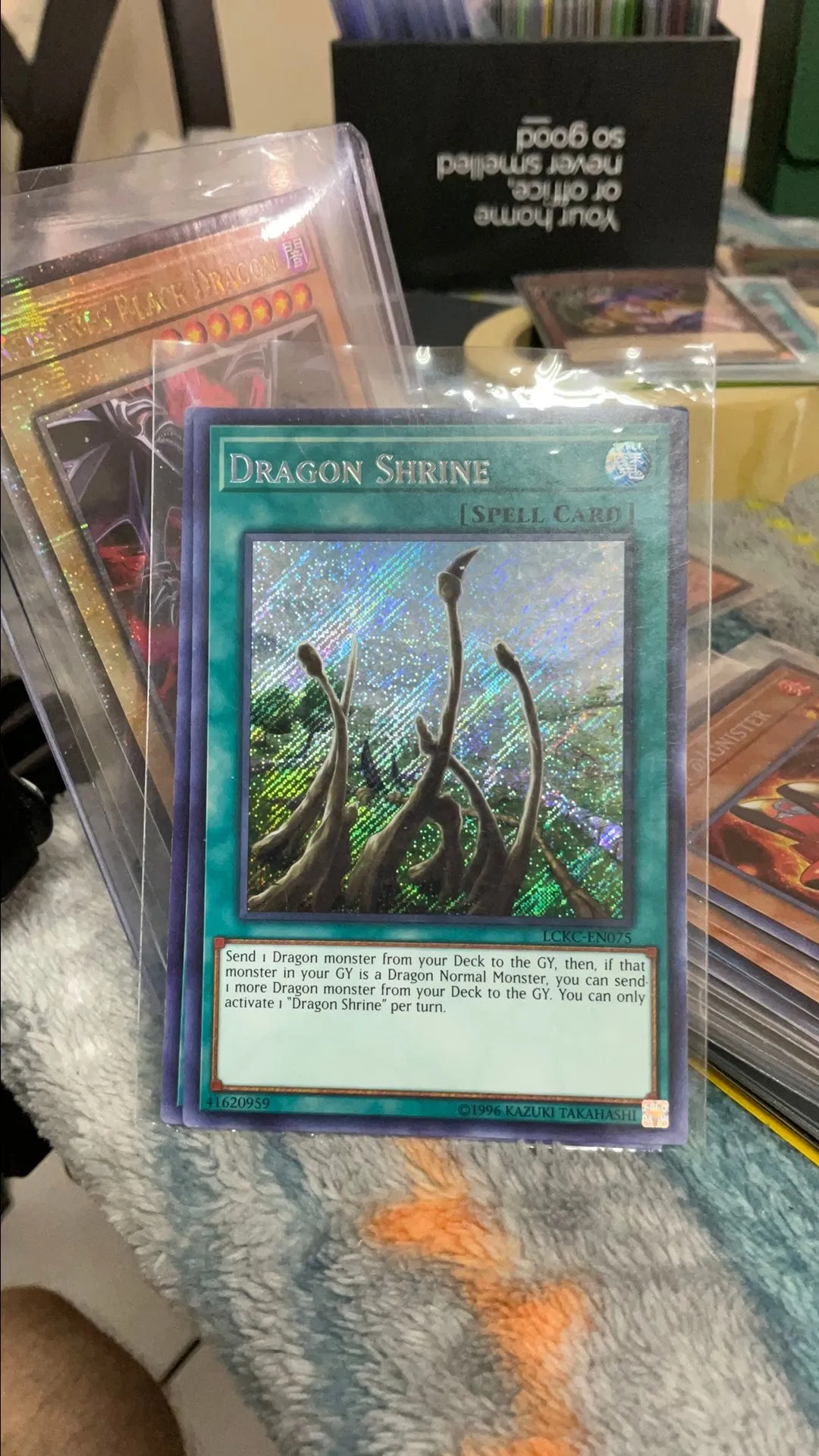 Product image for Dragon Shrine