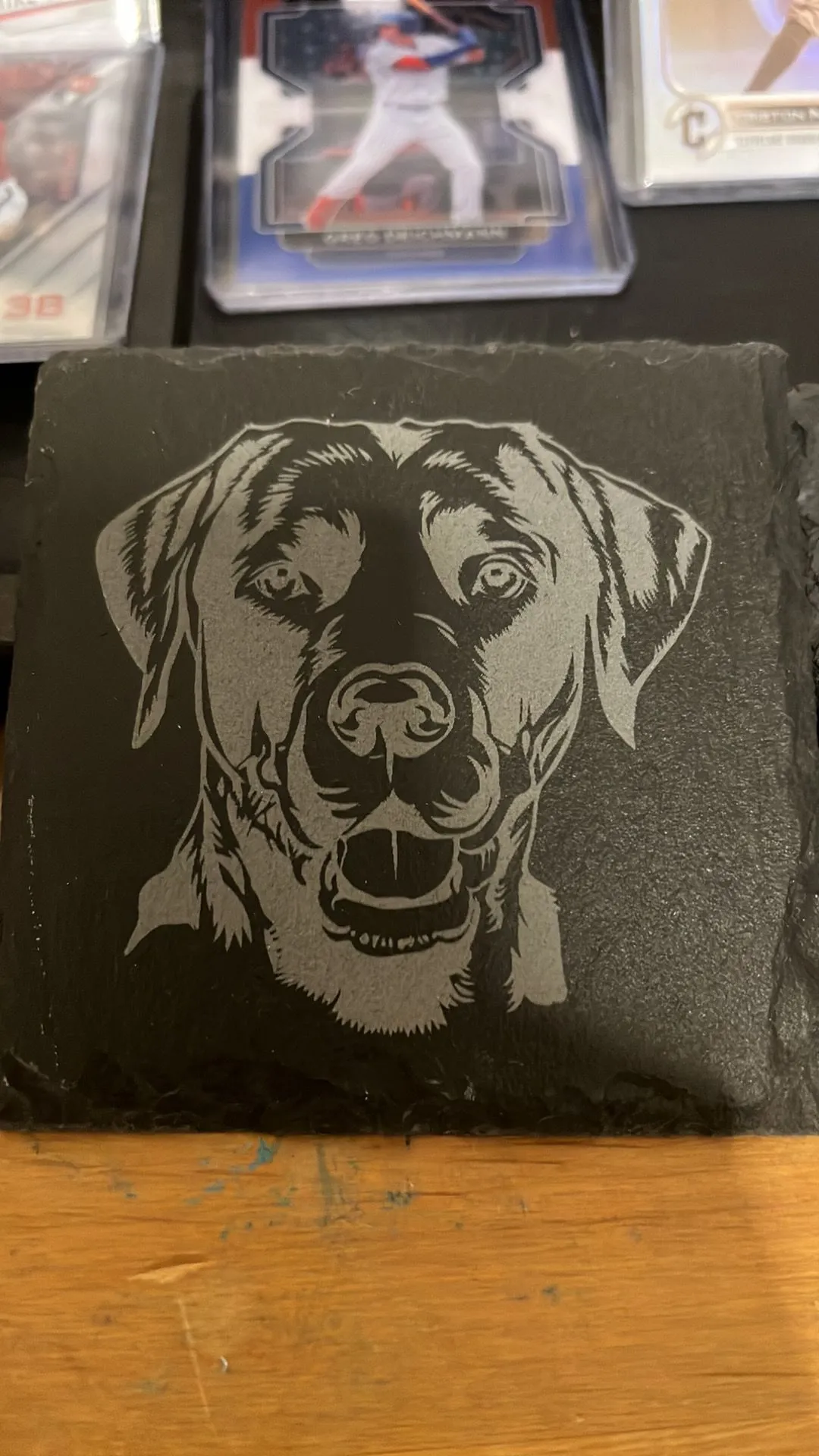 Product image for Lab Coaster