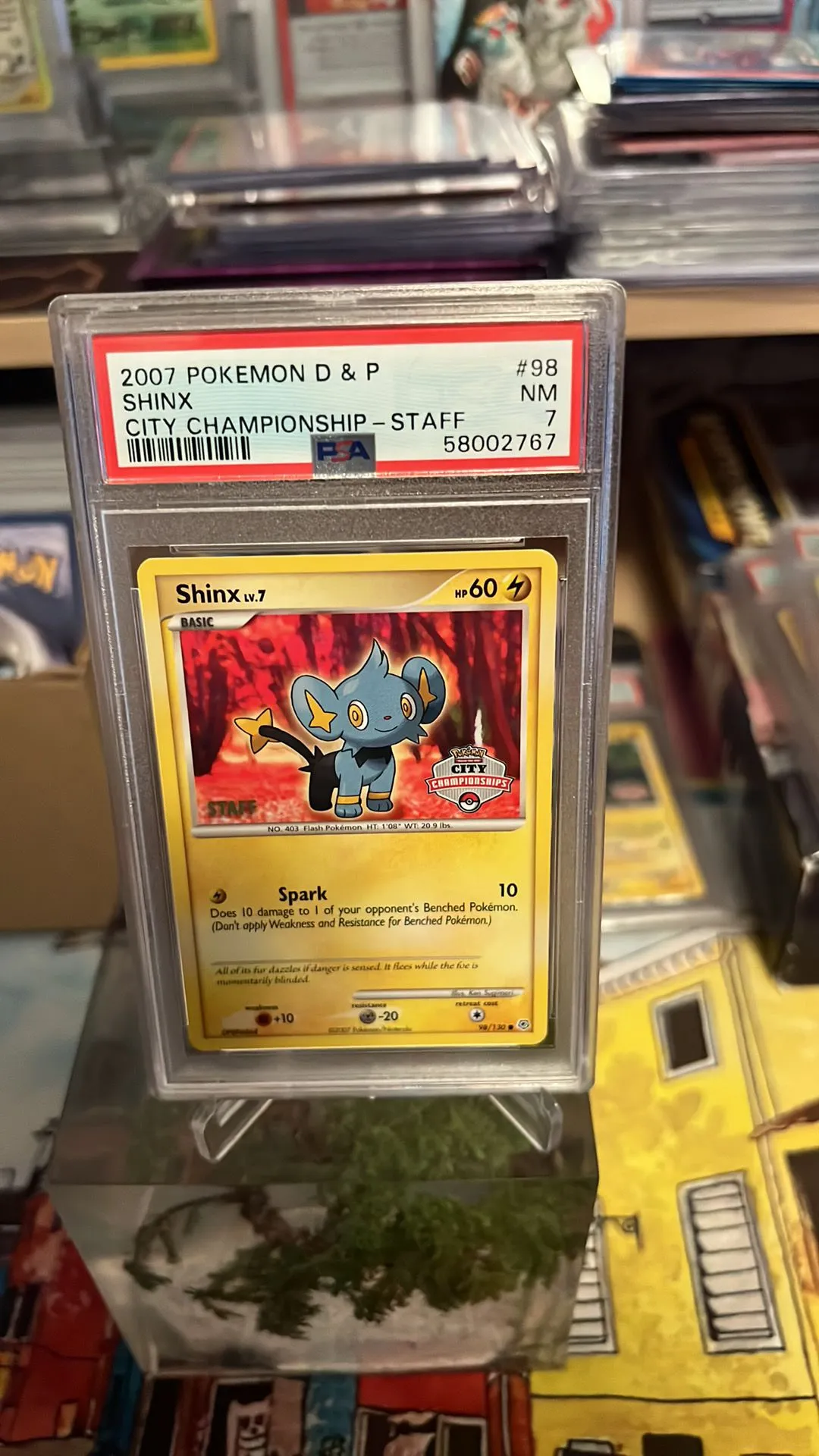 Product image for 2007 Pokemon Diamond & Pearl Shinx City Championship-Staff PSA NM 7