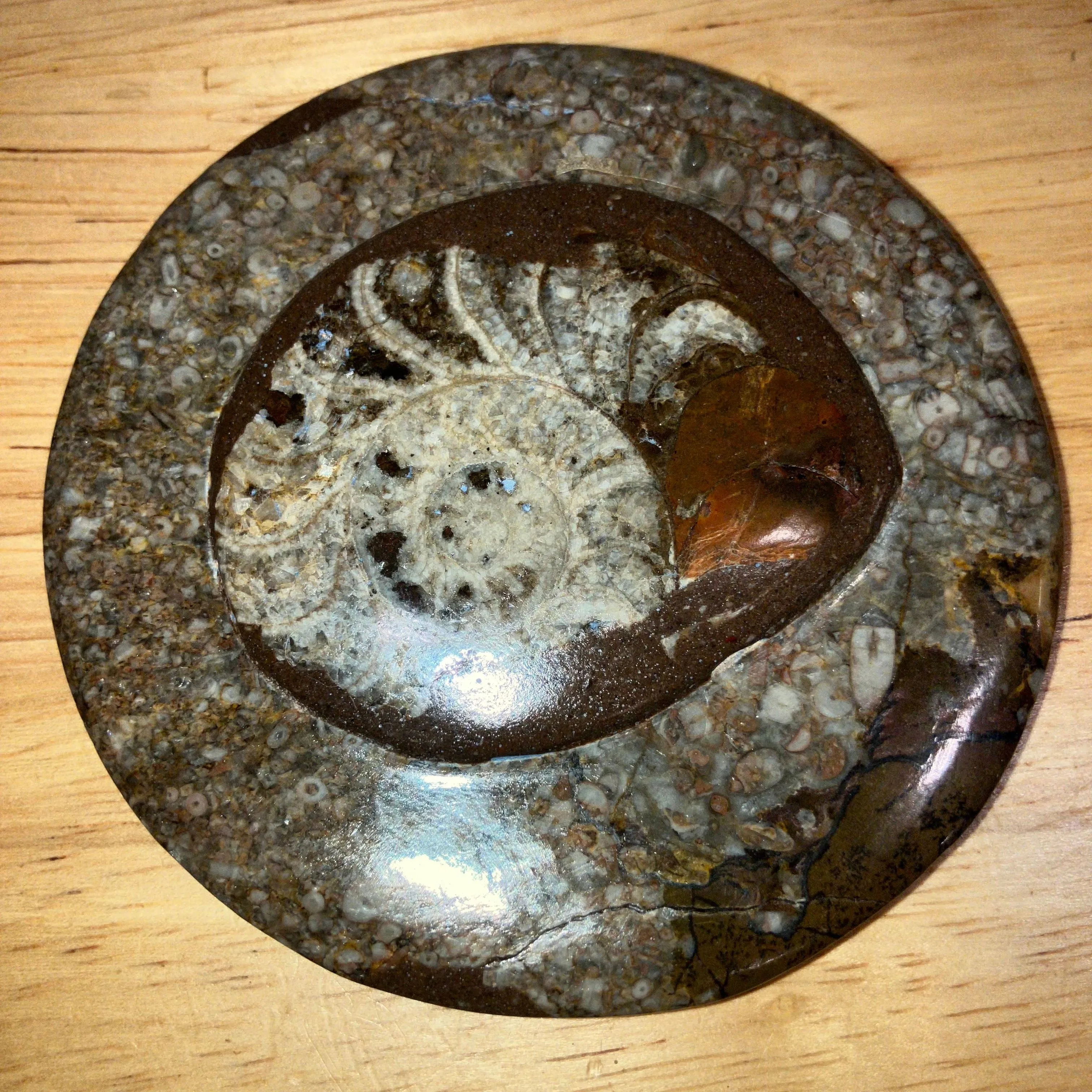 Product image for Carved Stone Ammonite Fossil jewelry box