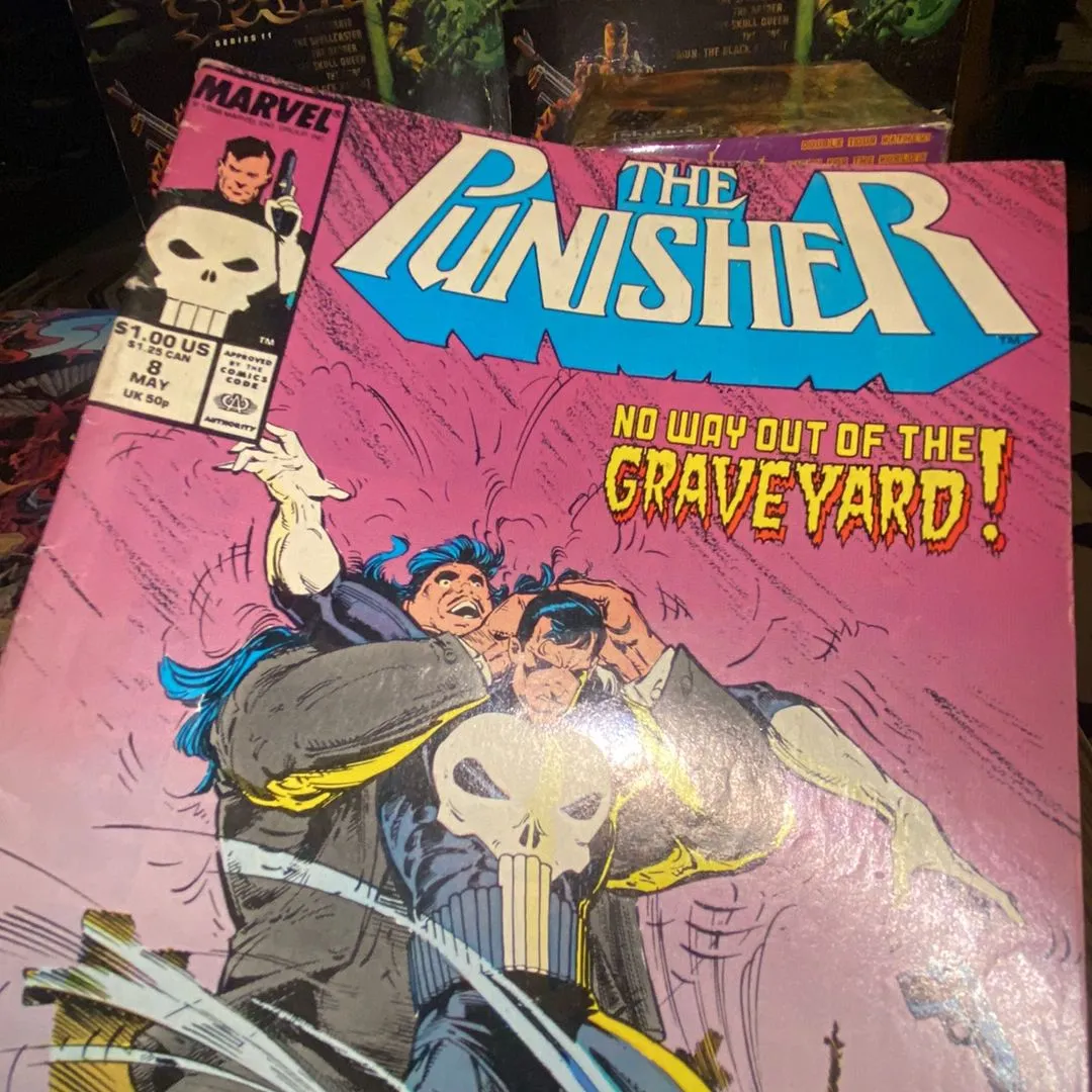 Product image for Punisher #8 comic