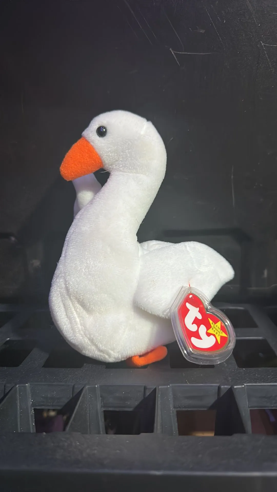 Product image for Swan Beanie Baby