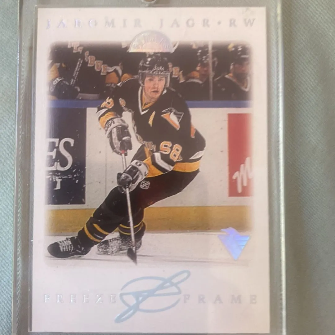 Product image for 95 LEAF FREEZE FRAME JAROMIR JAGR /96