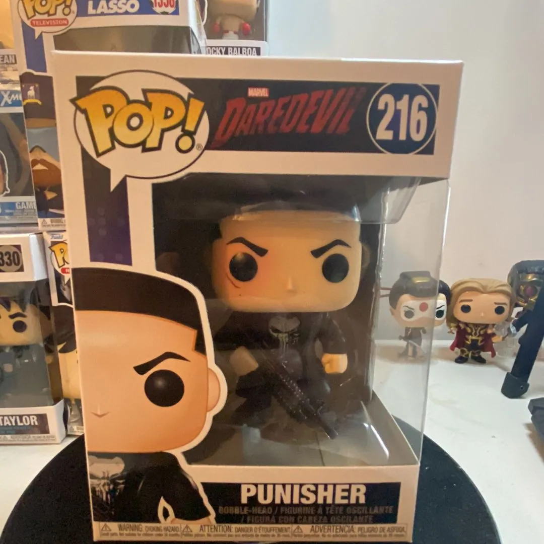 Product image for Punisher