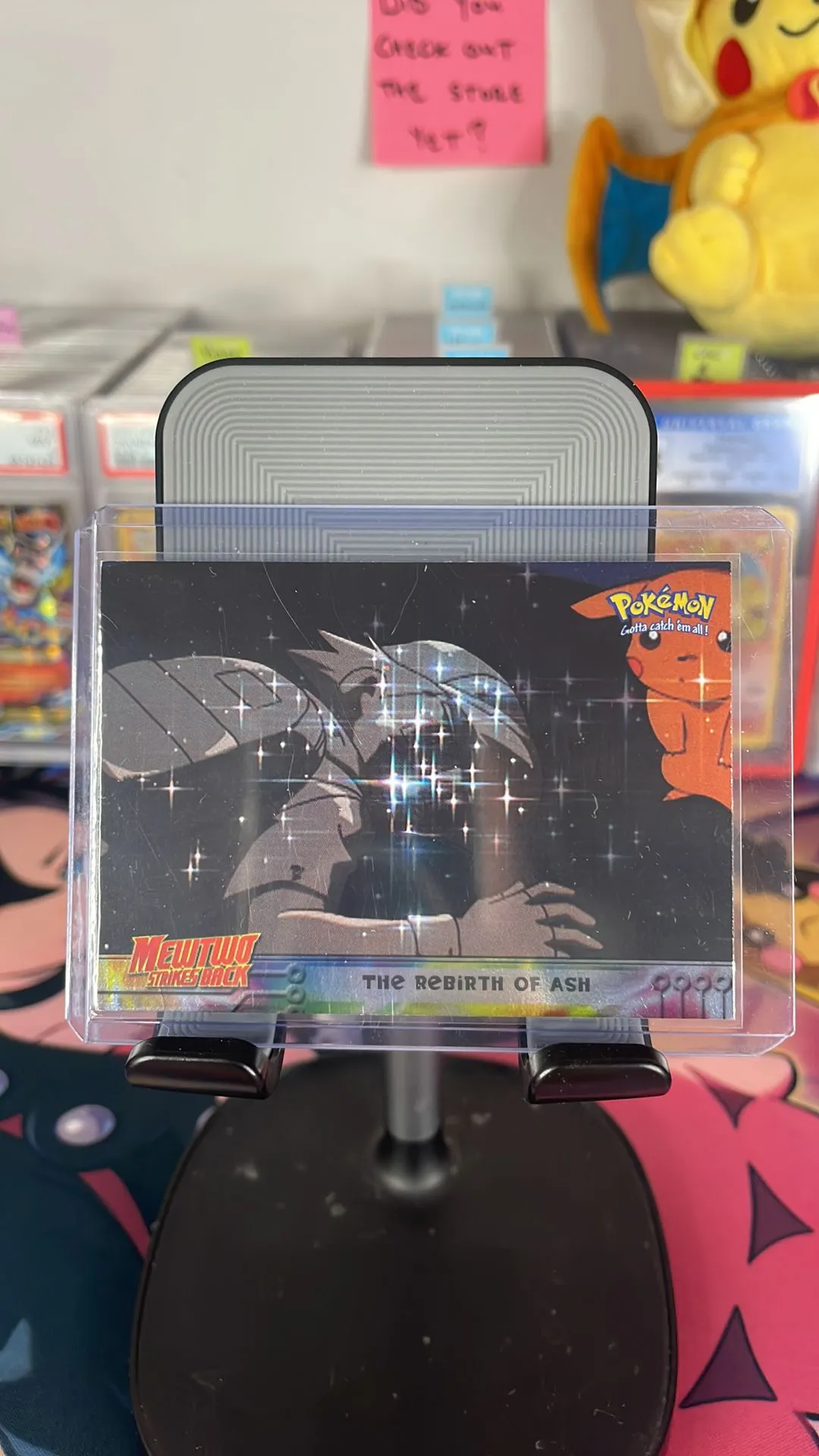 Product image for Rebirth Of Ash