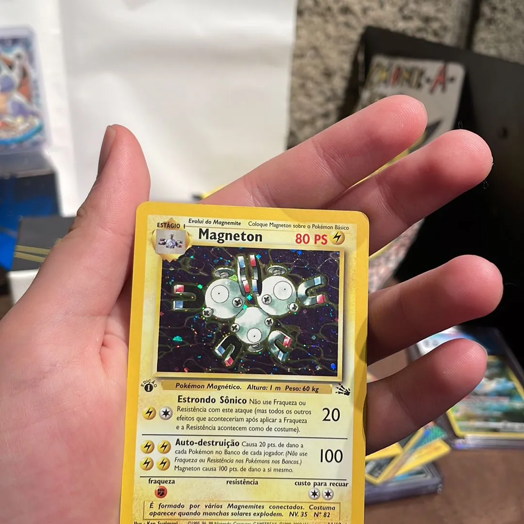 Product image for 1st ed fossil magneton in Portuguese.