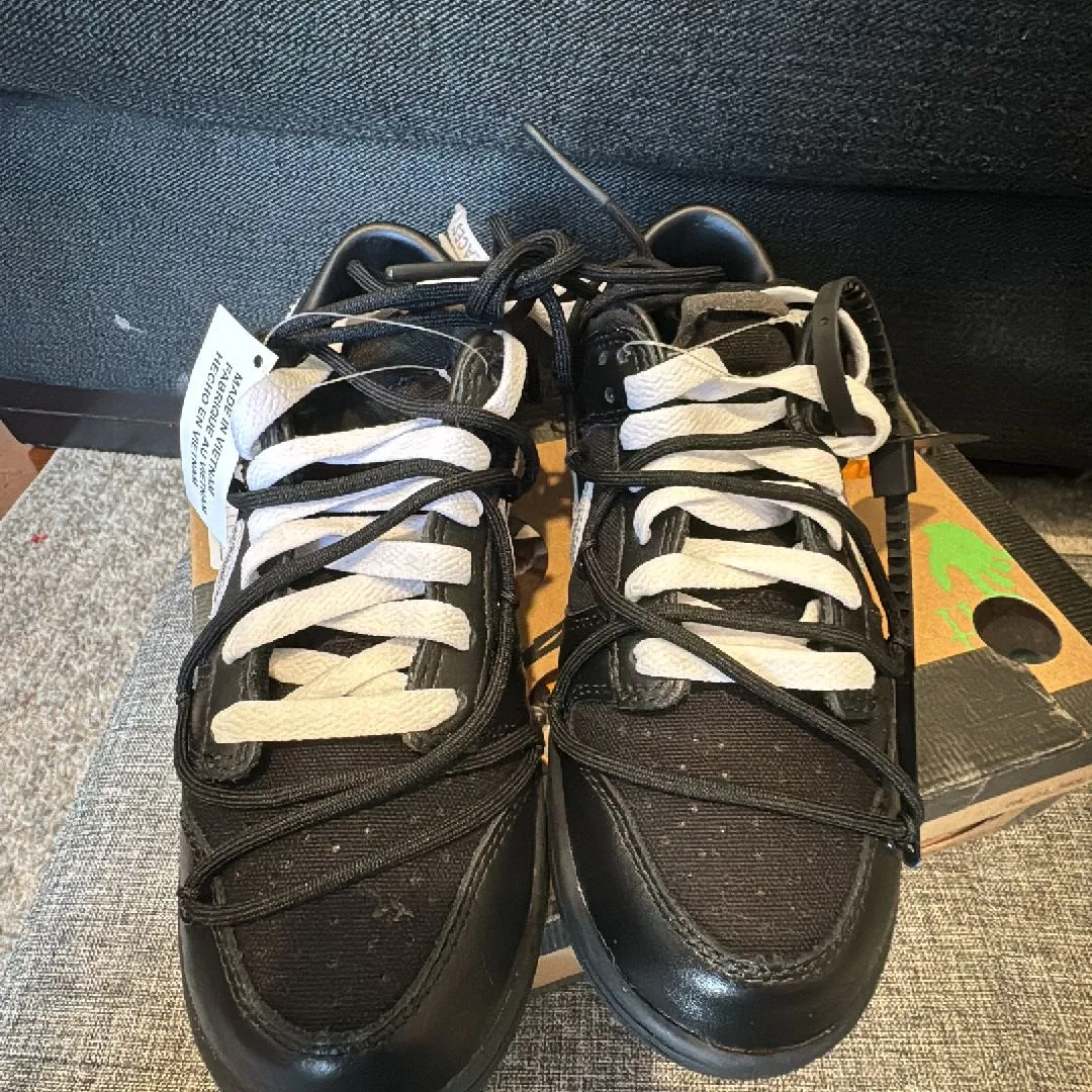 Product image for Lot 50 dunk low off-white