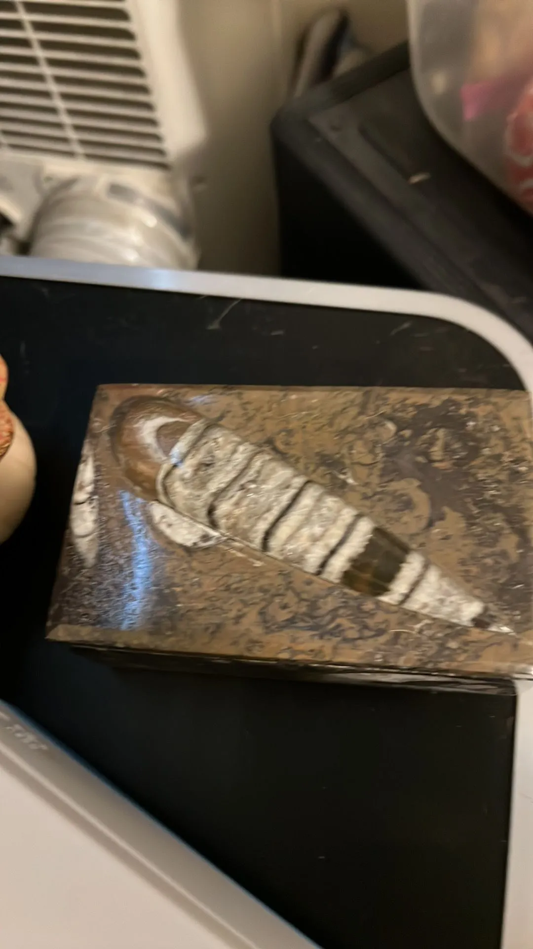 Product image for Orthoceras fossil trinket box