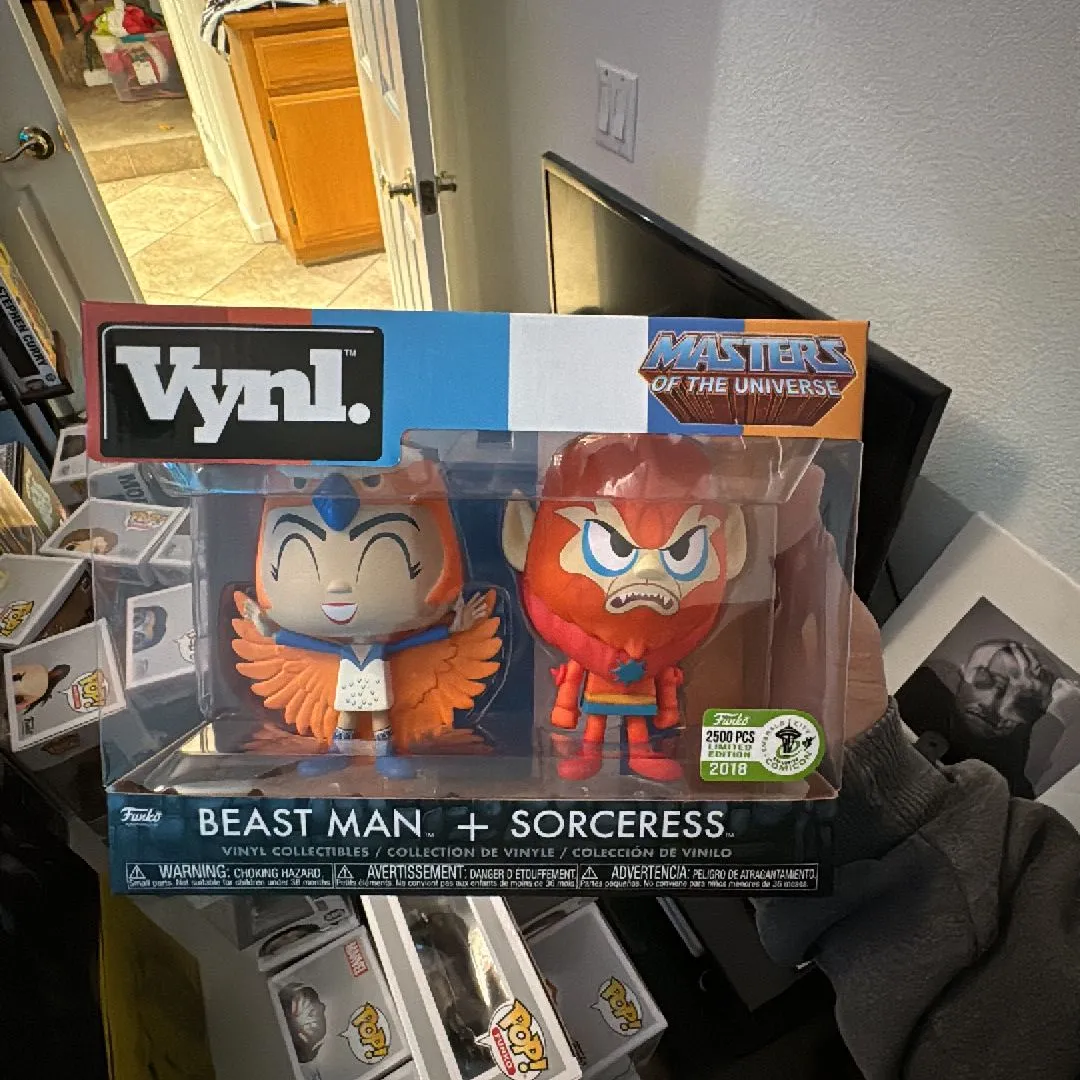 Product image for Beast Man & Sorceress 2 Pack
