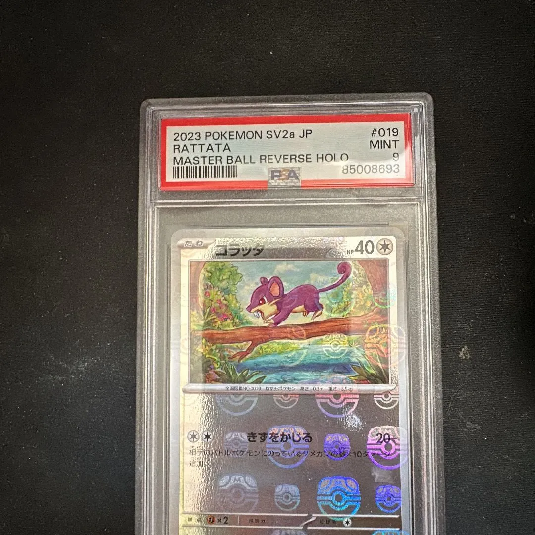 Product image for Slabs in dip box