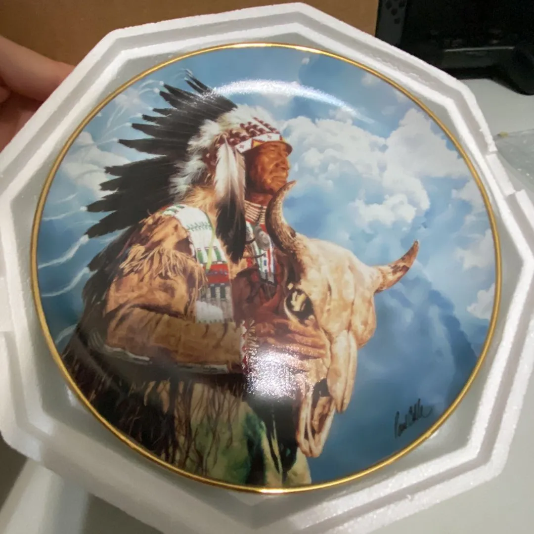 Product image for Indian American plate