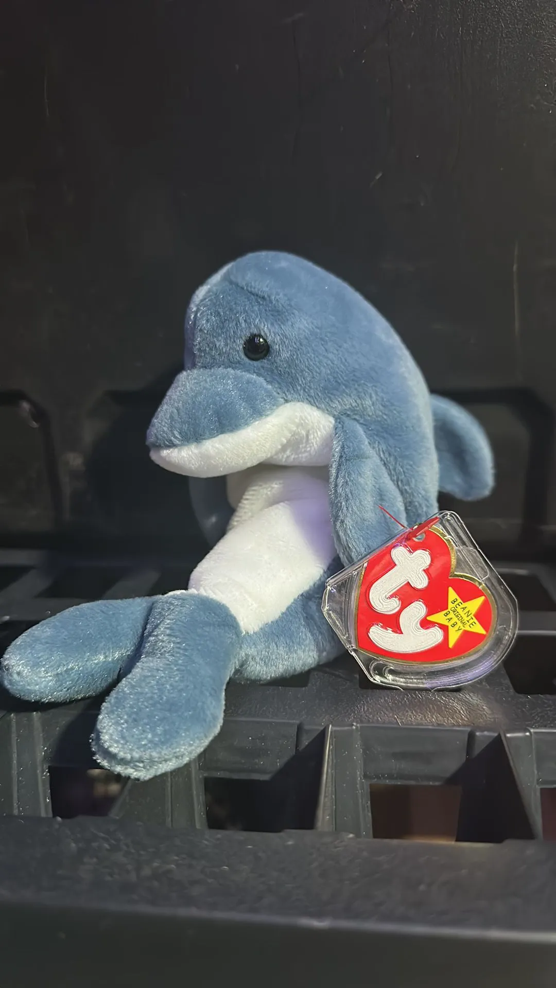 Product image for Dolphin Beanie Baby