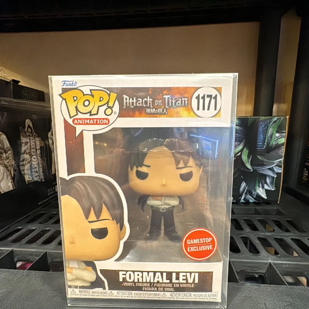Product image for Formal Levi
