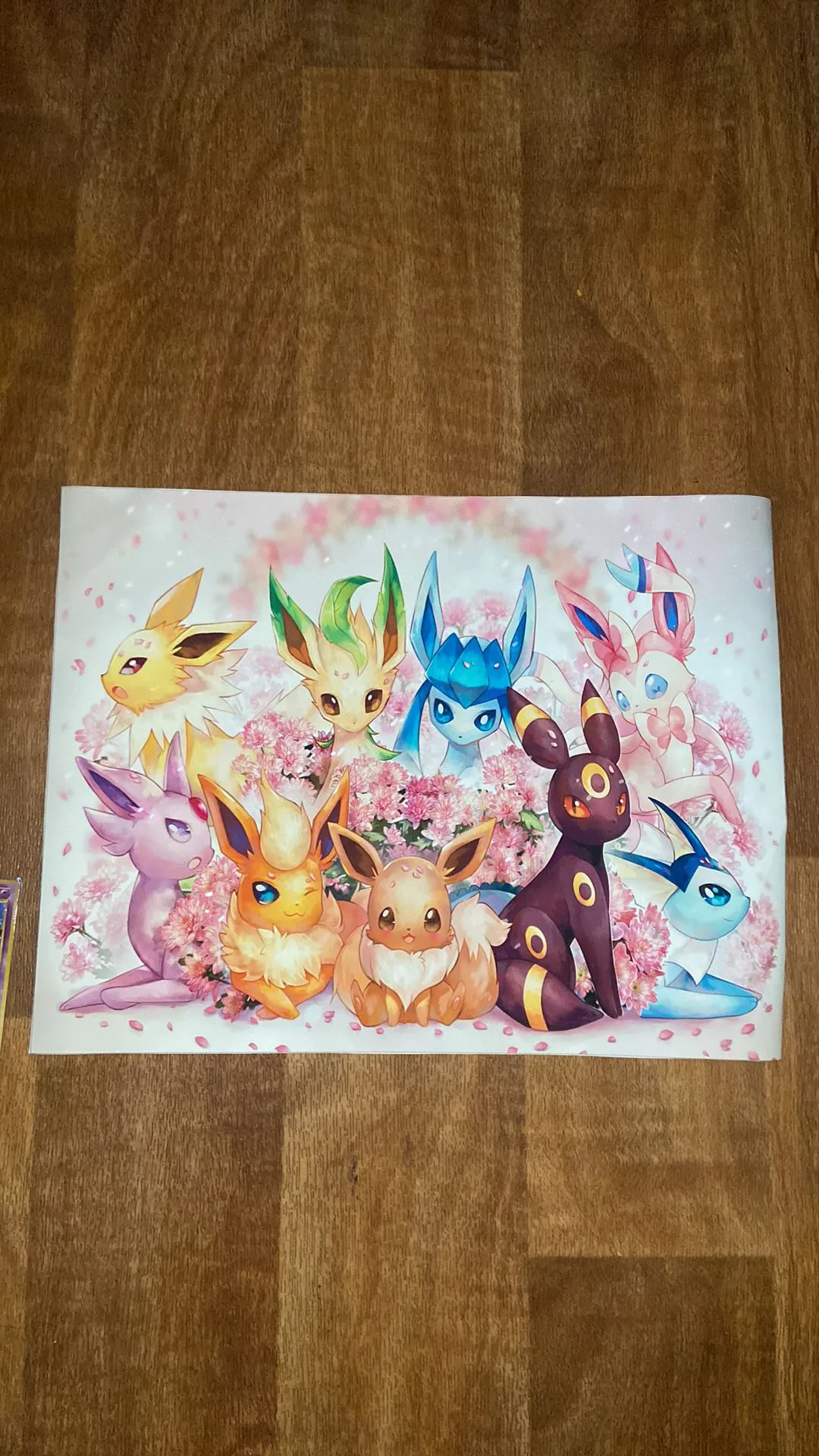 Product image for EEveelutions Japanese Canvas Art Piece