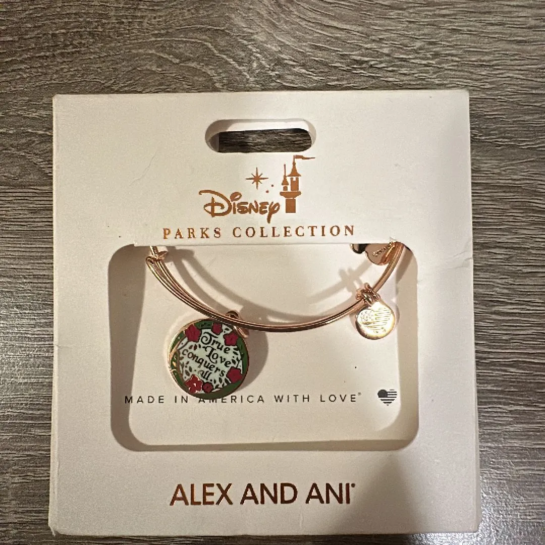 Product image for Alex and Ani Bracelet