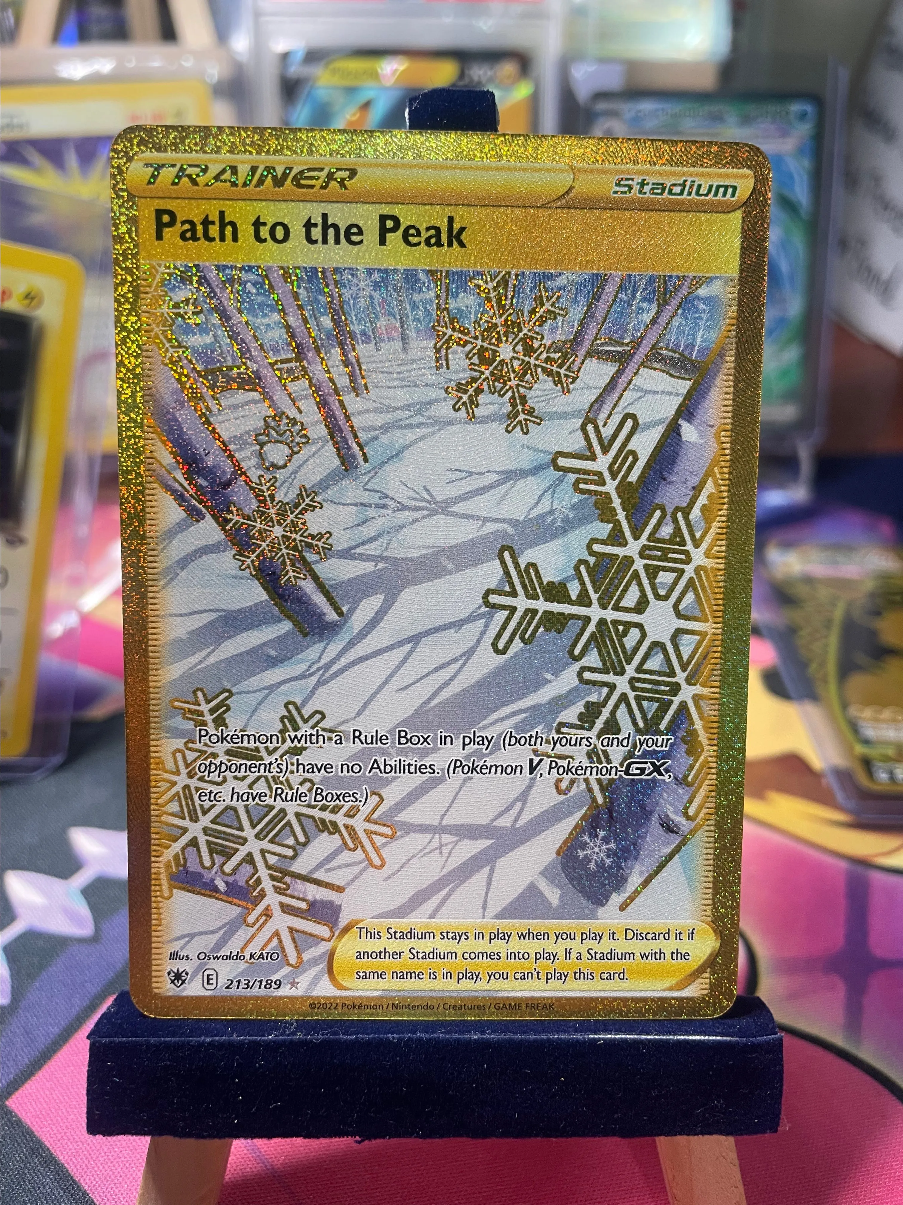 pokemon card frame 3 PSA or CGC Pokemon Card Frame-(3 card display)