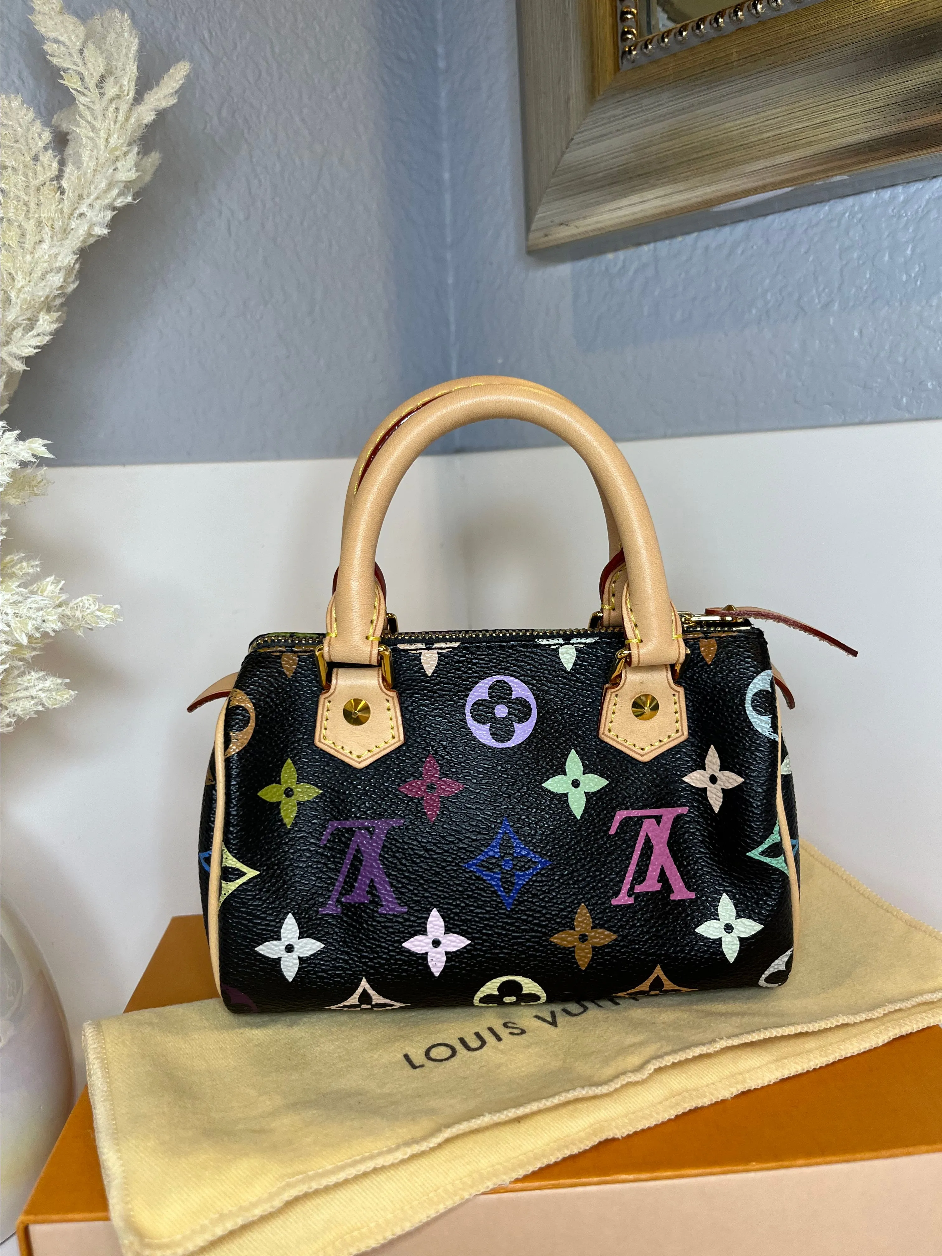 Product image for LOUIS VUITTON MINI SPEEDY MULTICOLOR
