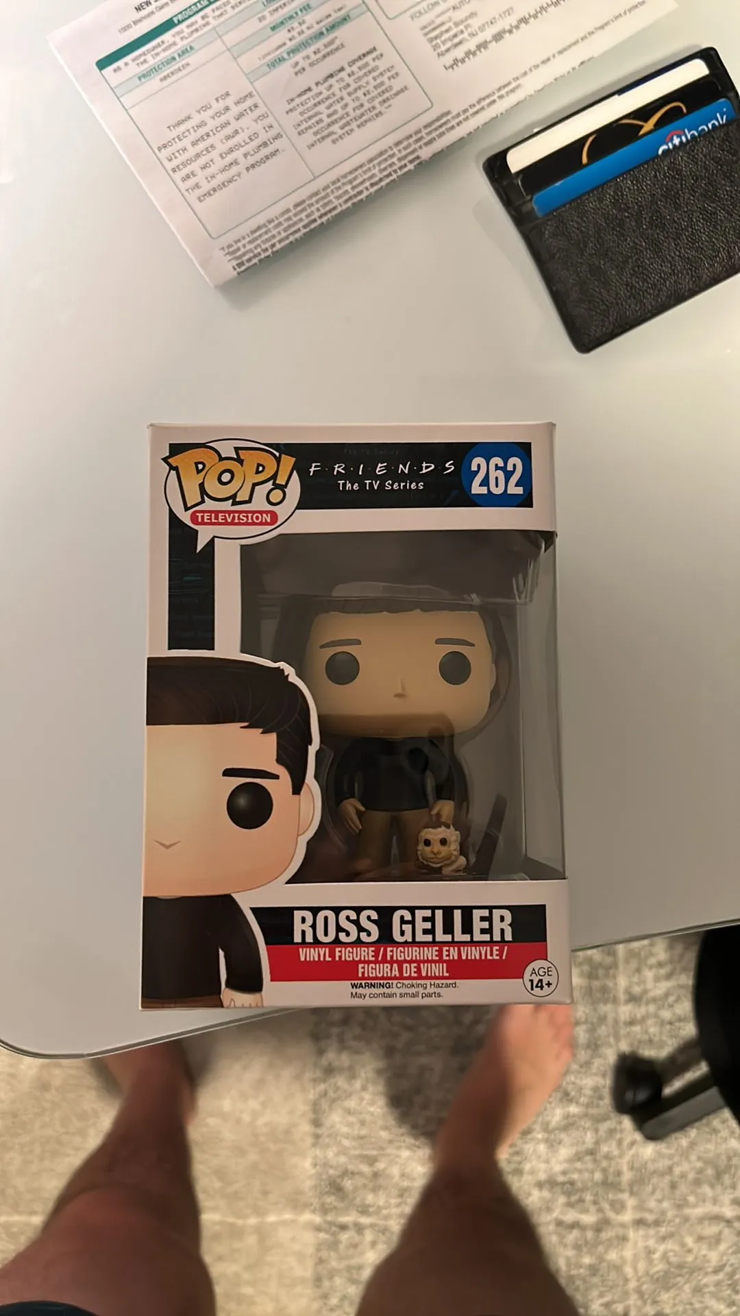 Product image for Ross Geller