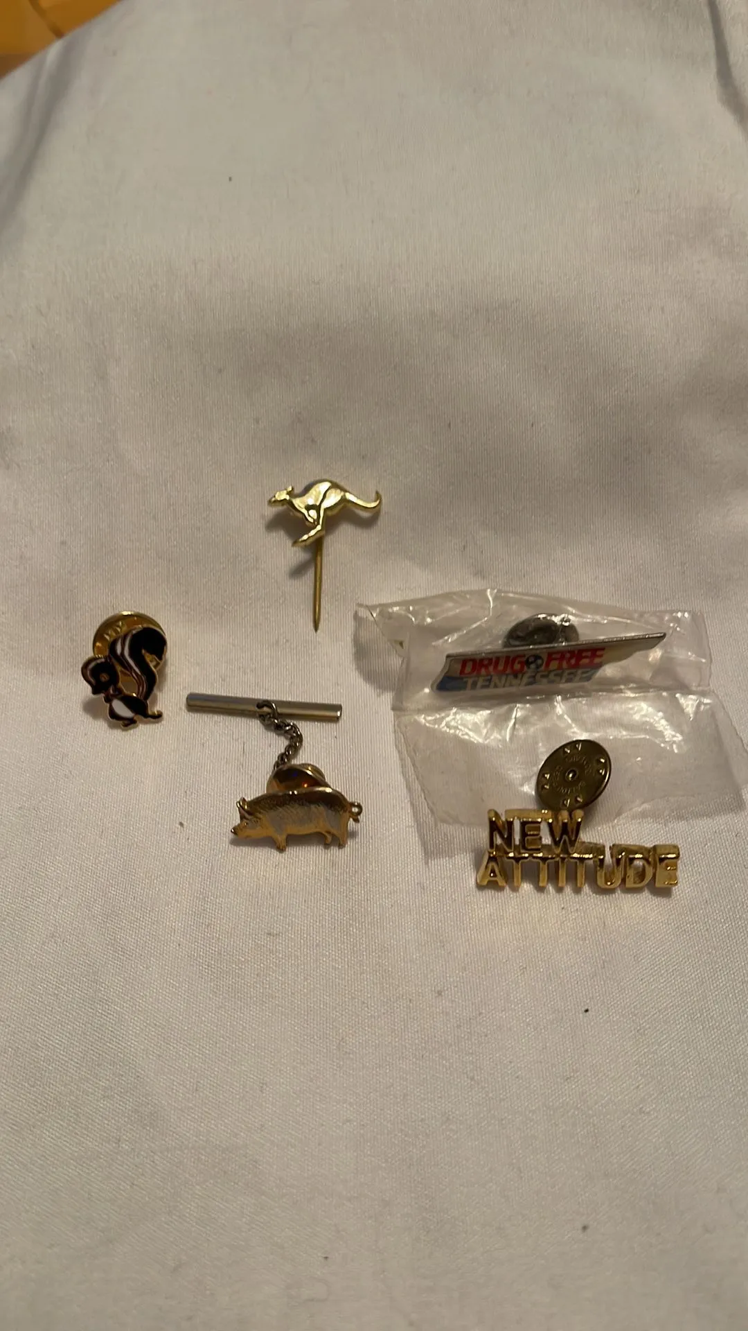 Product image for 5 pin lot