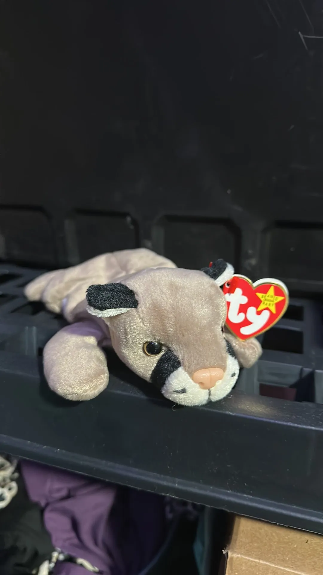 Product image for Canyon Beanie Baby